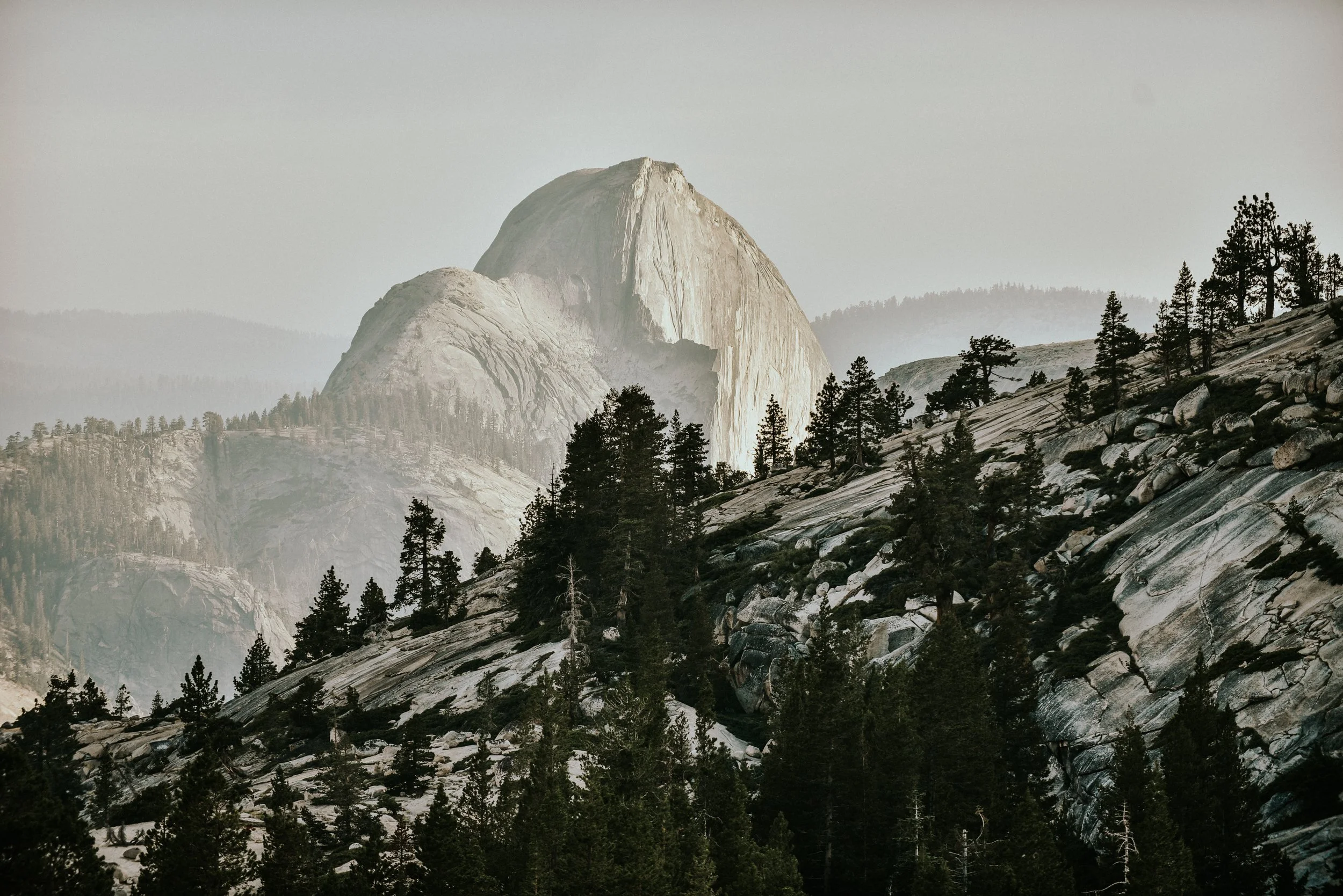 _DSC6265.jpg