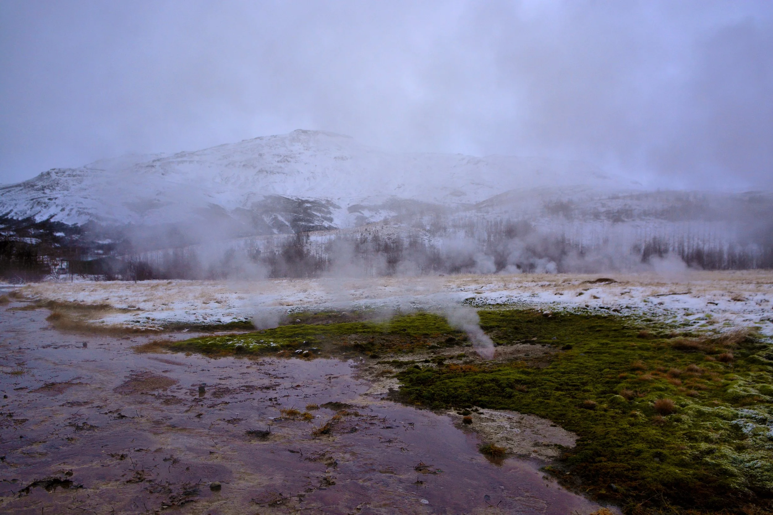 DSC_6513.JPG