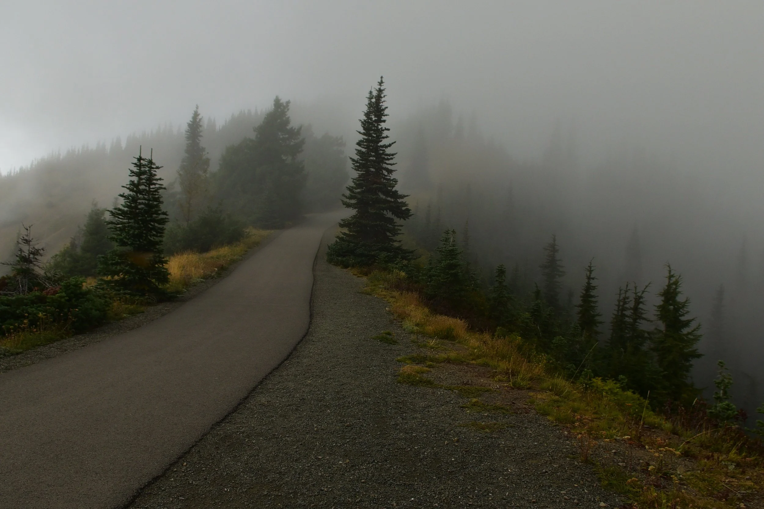 DSC_6641.jpg