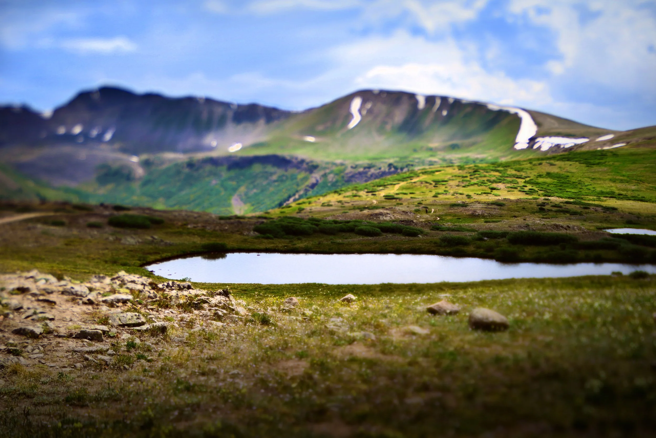 DSC_8188jsml.jpg