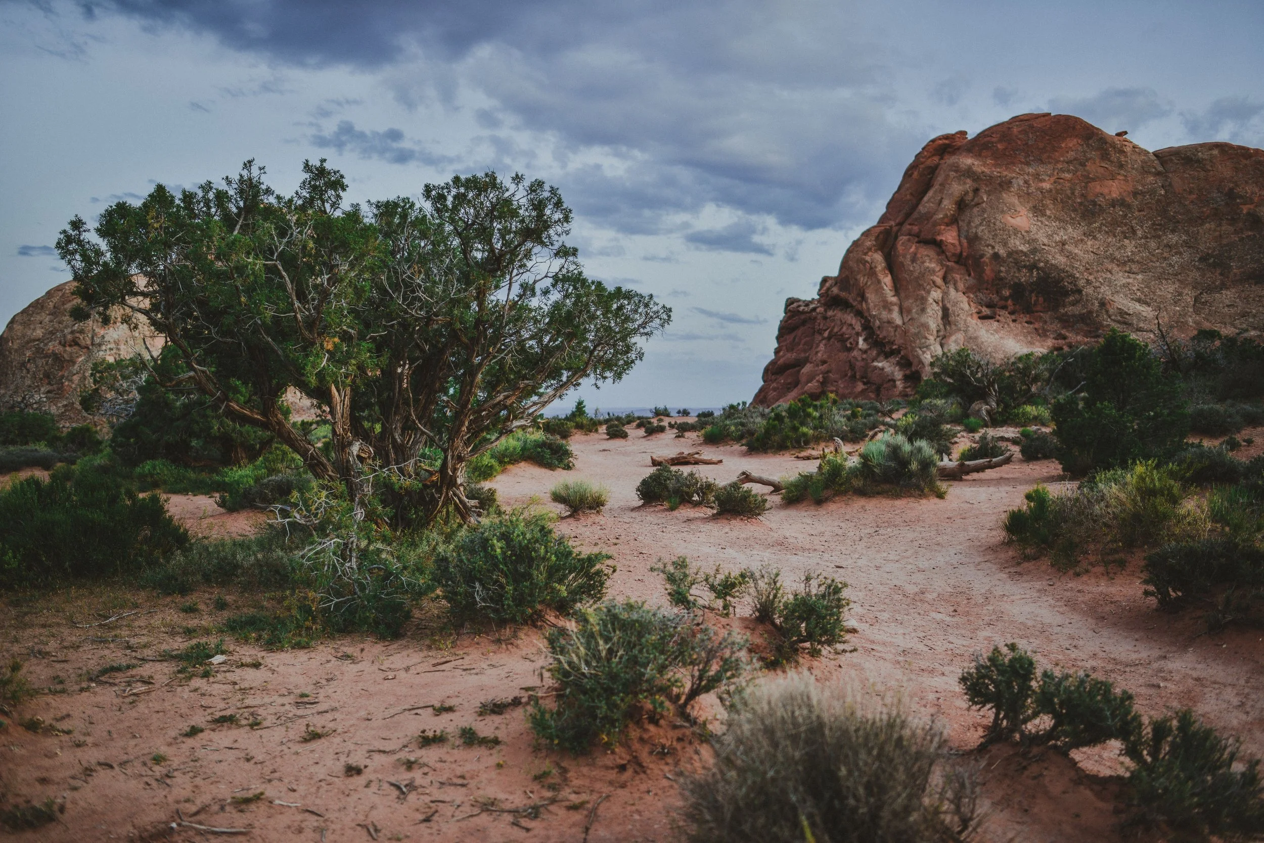 DSC_2076-2.jpg