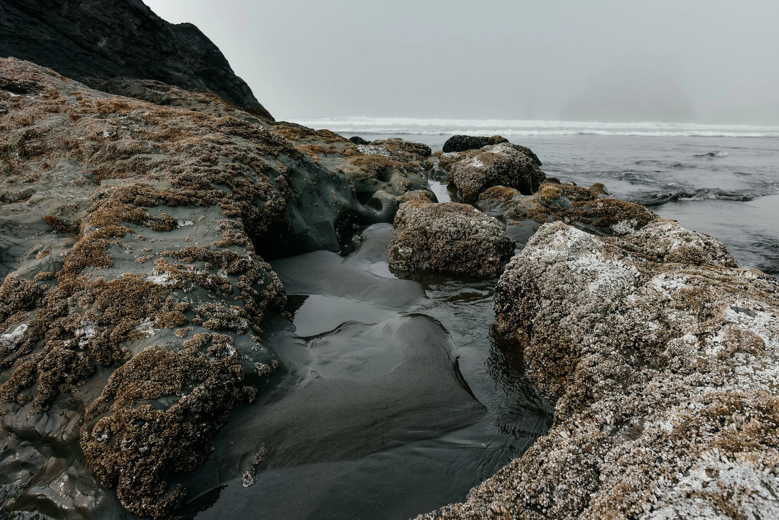 _DSC5676.jpg