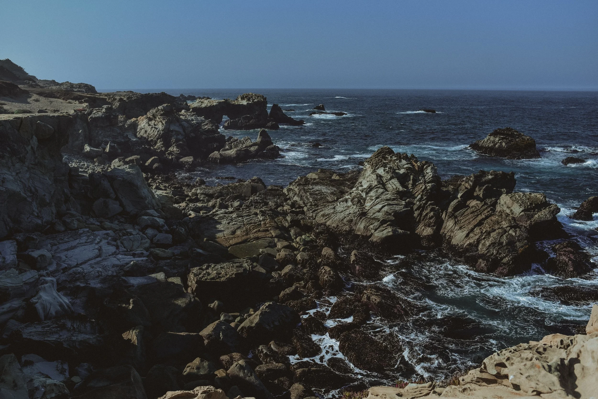 DSC_3465.jpg