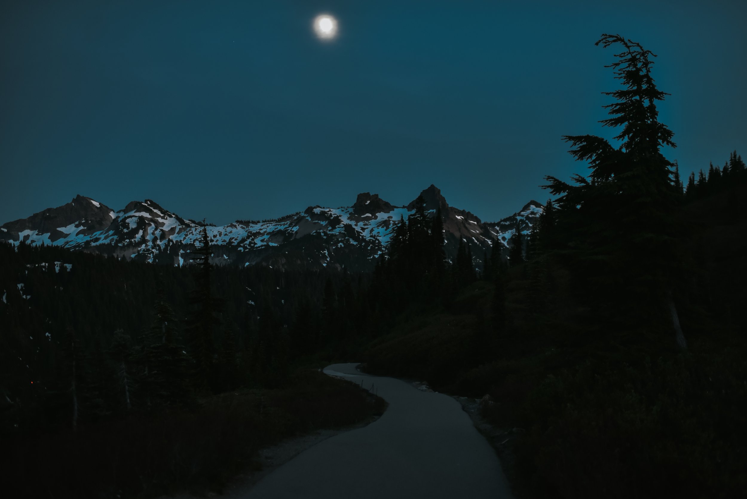 DSC_3936.jpg