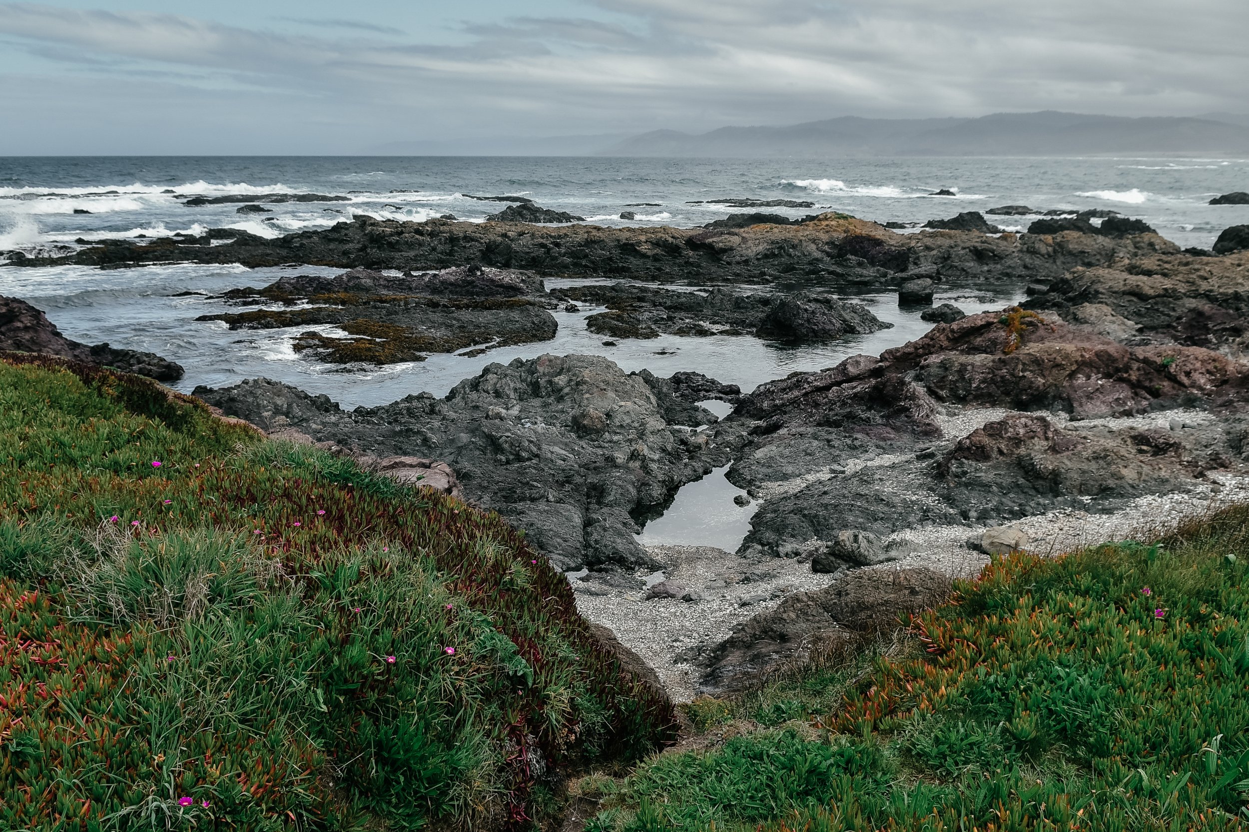 _DSC5210.jpg