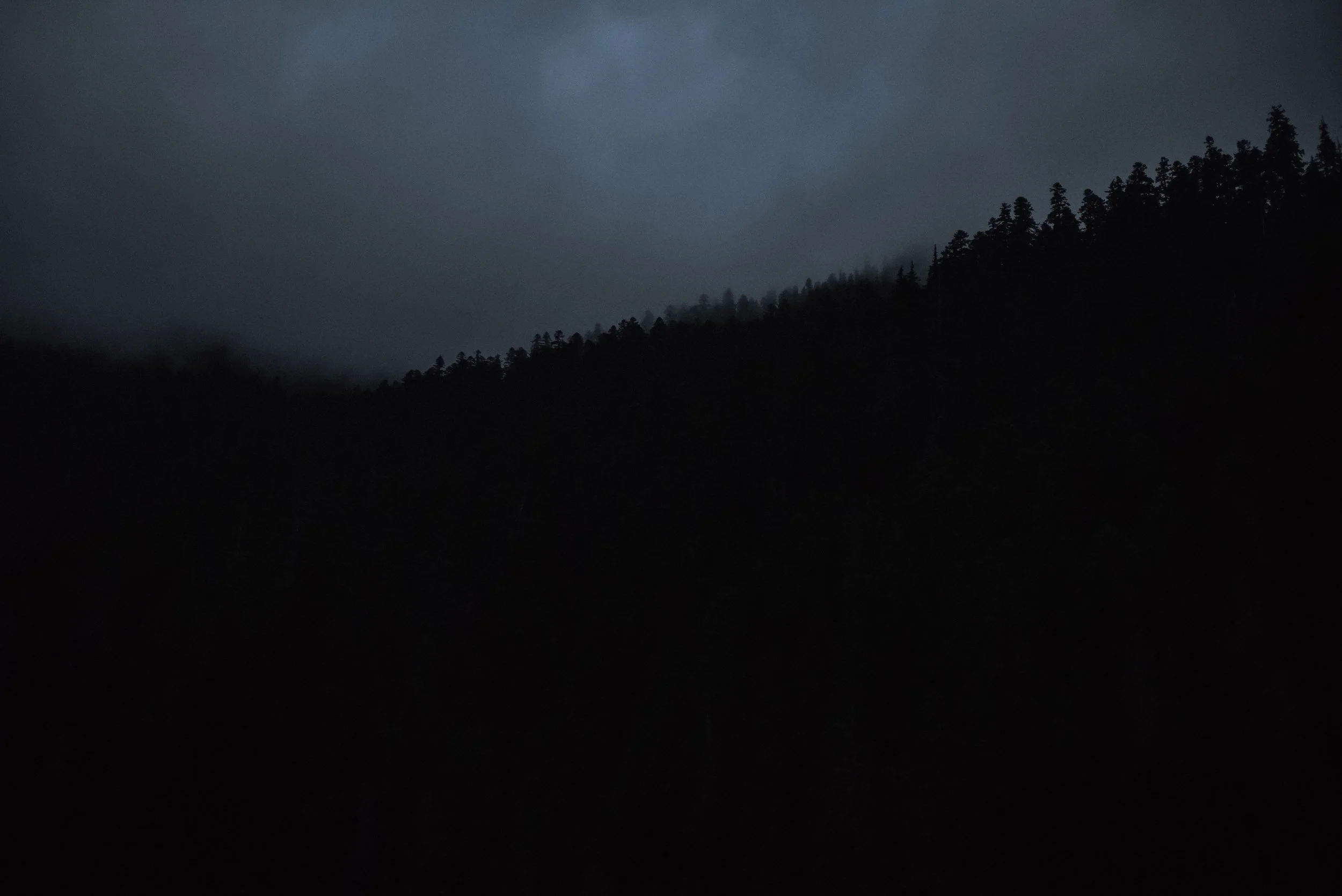 DSC_2421.jpg