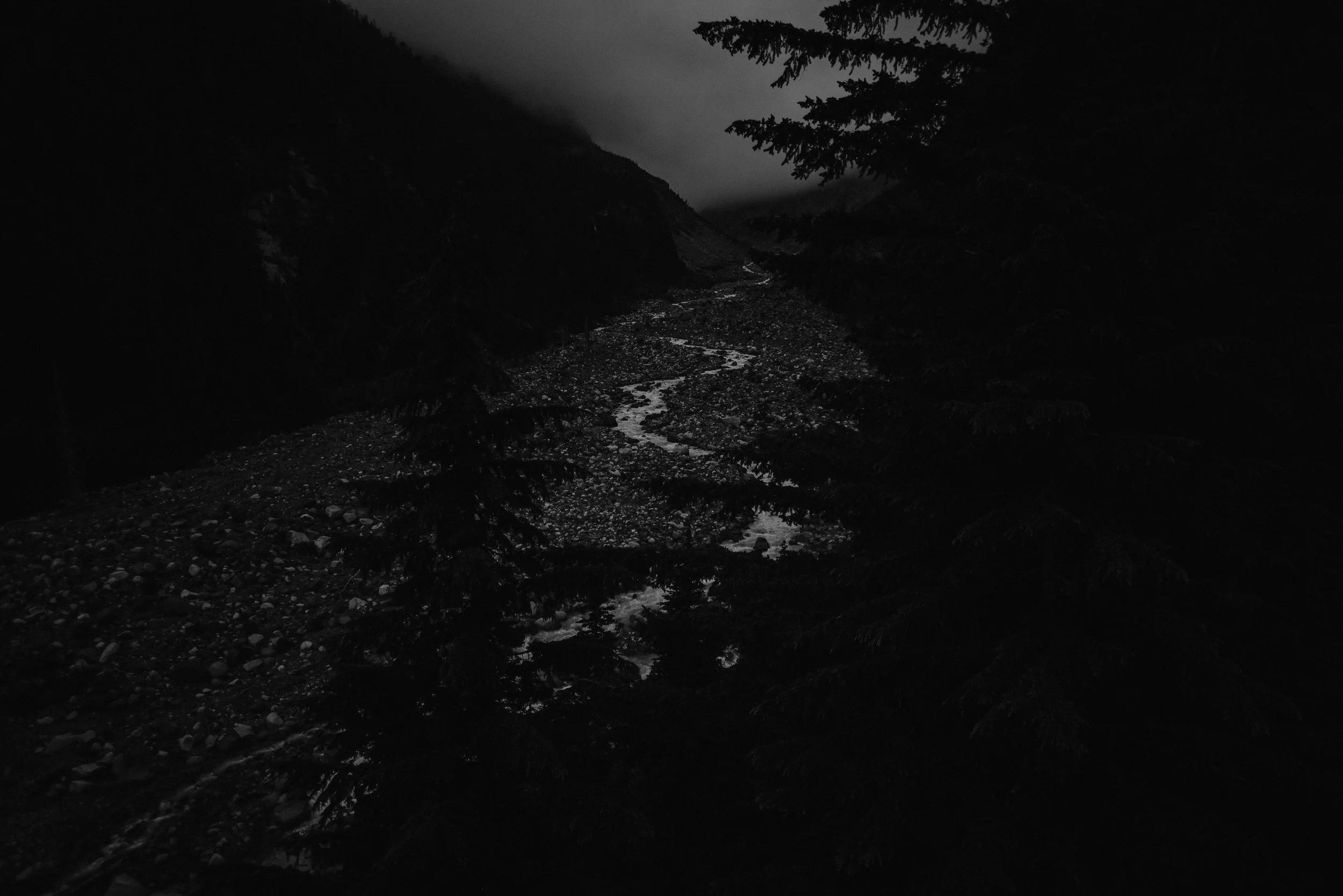 DSC_2290.jpg