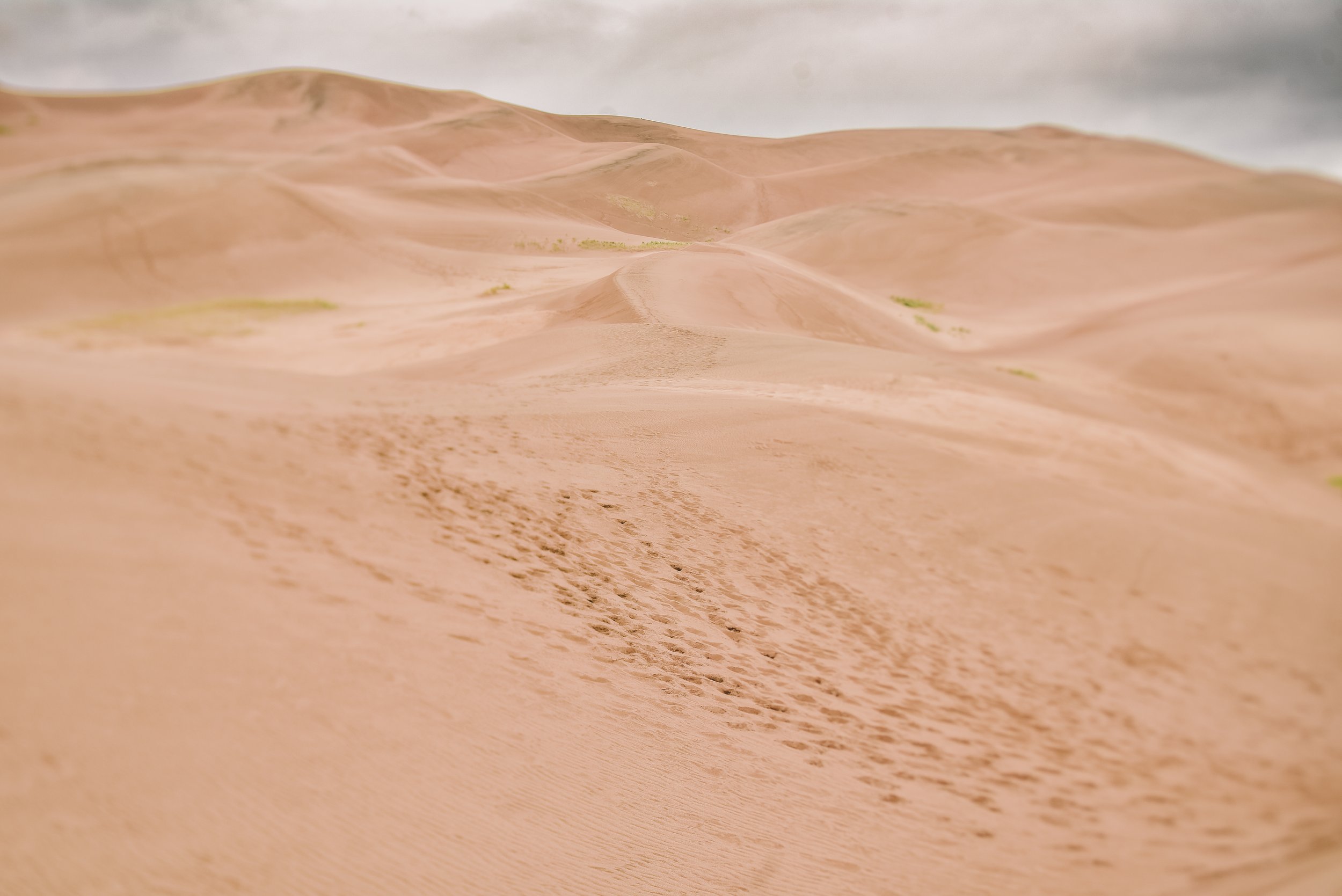 DSC_4907-2.jpg