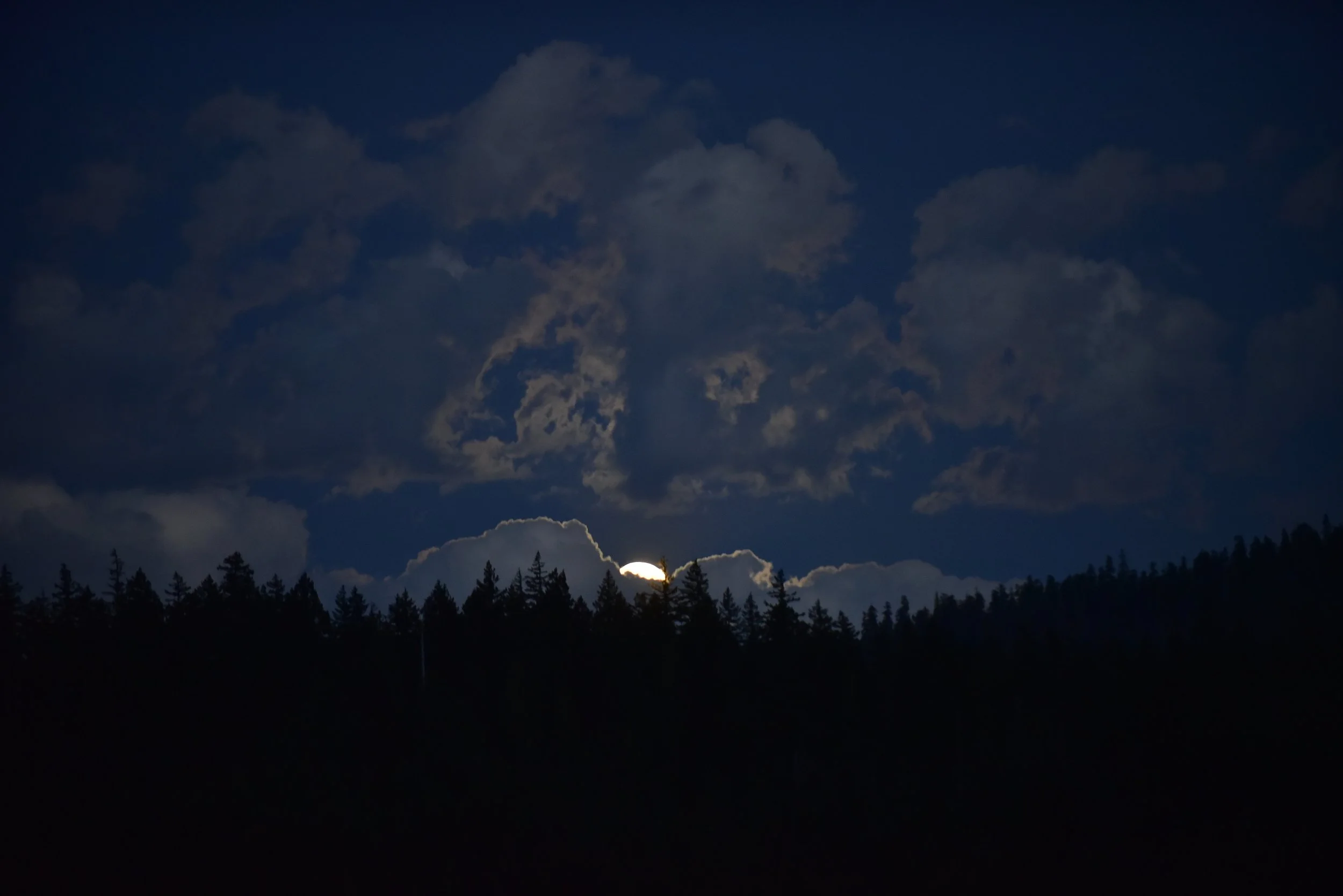 _DSC8076.JPG