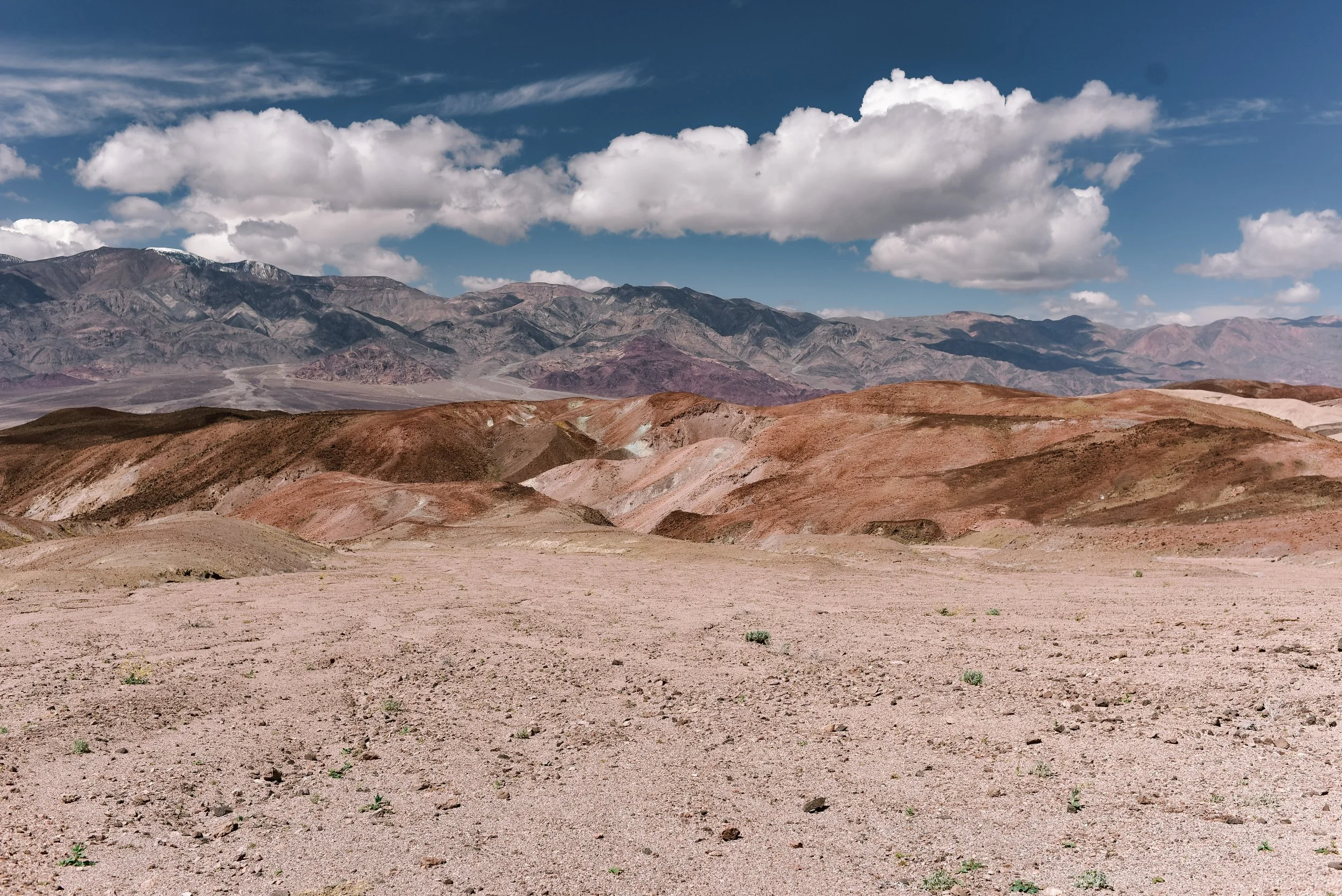 _DSC5770.jpg