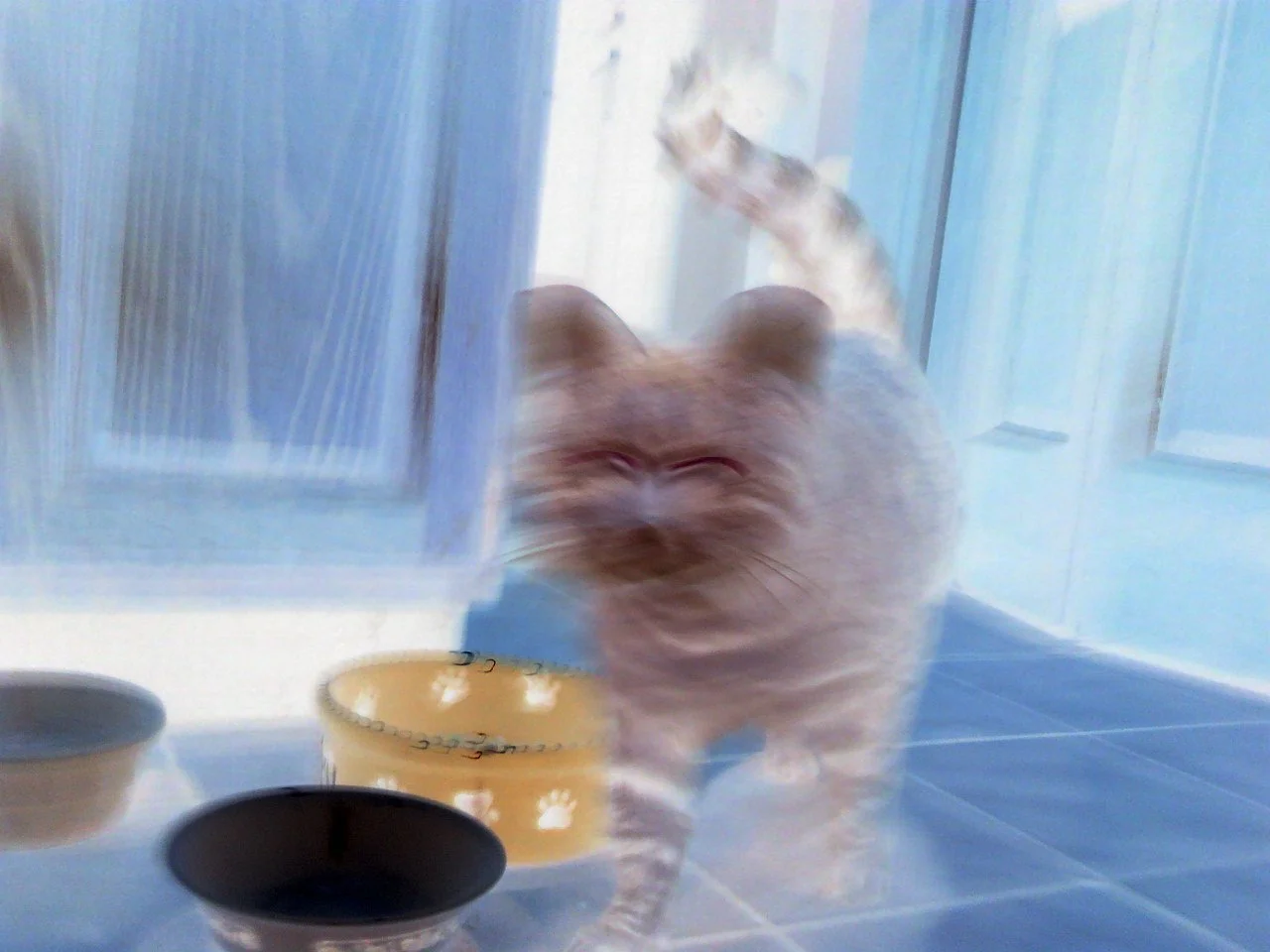 0104122228.jpg