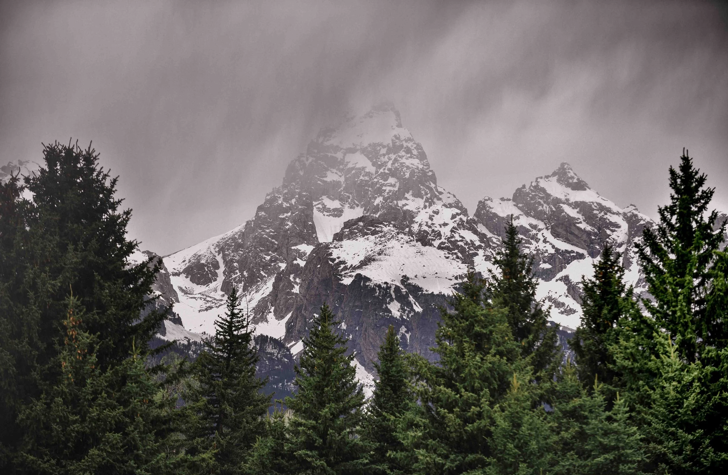 DSC_6394.jpg