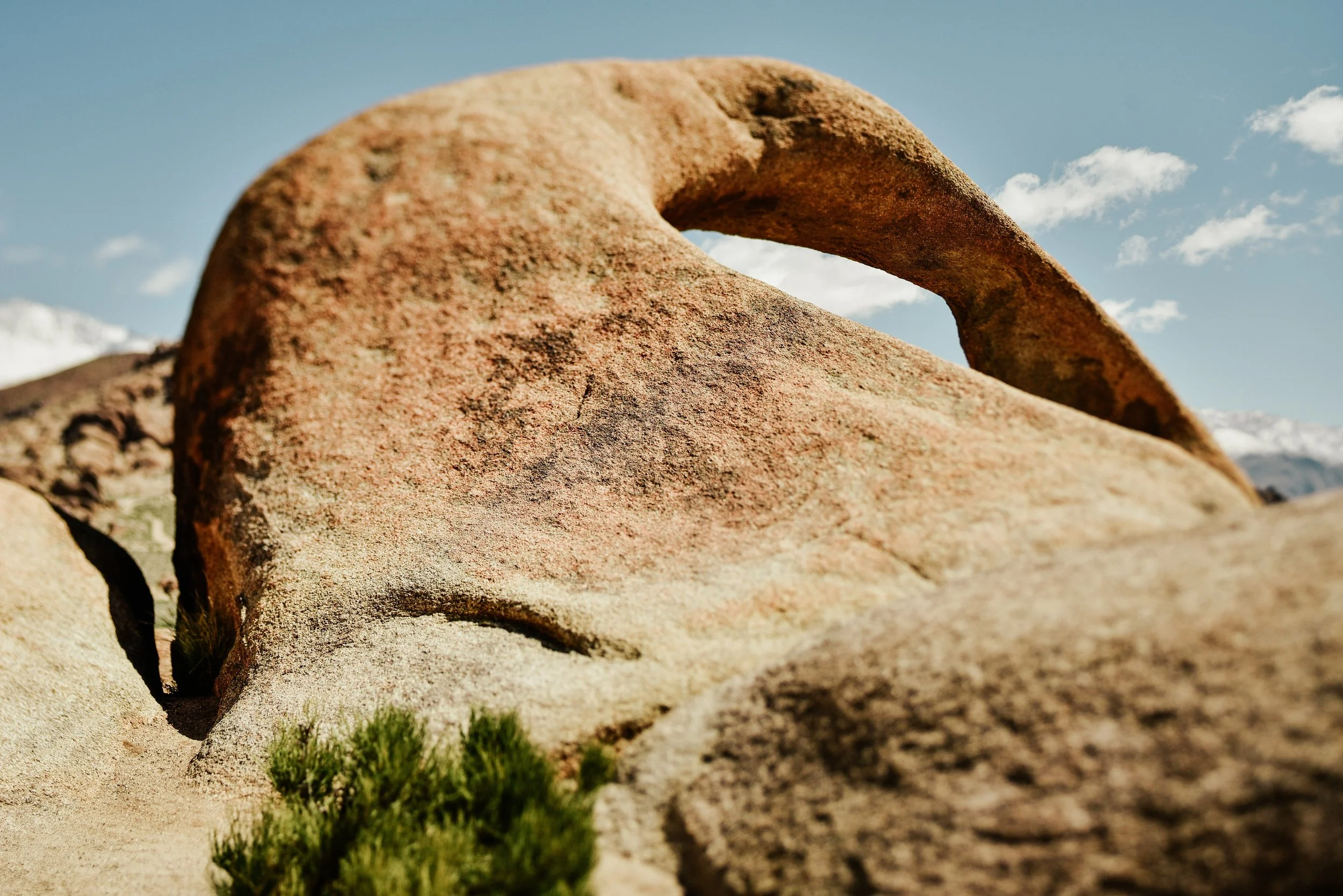_DSC8118.jpg