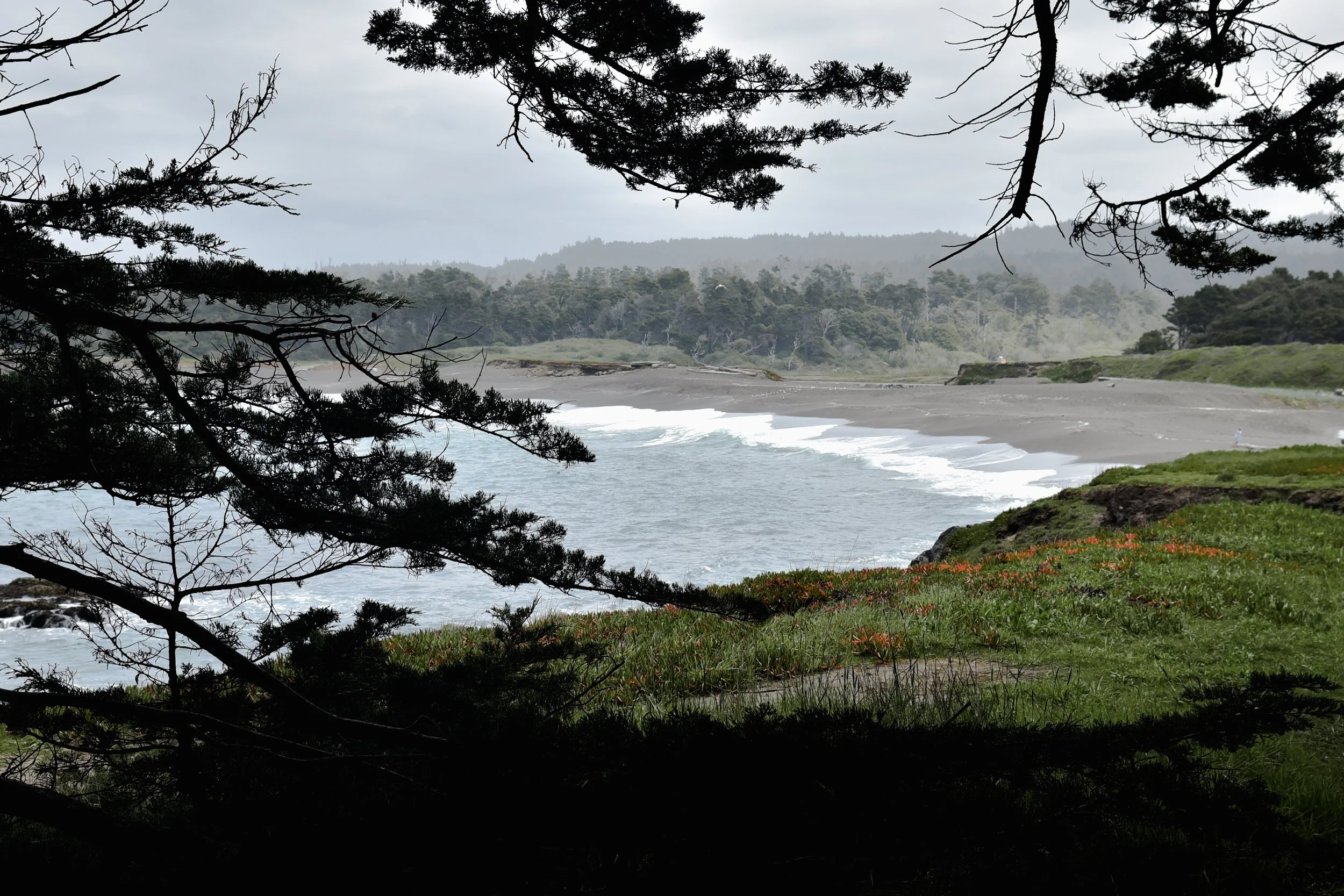 _DSC5248.jpg