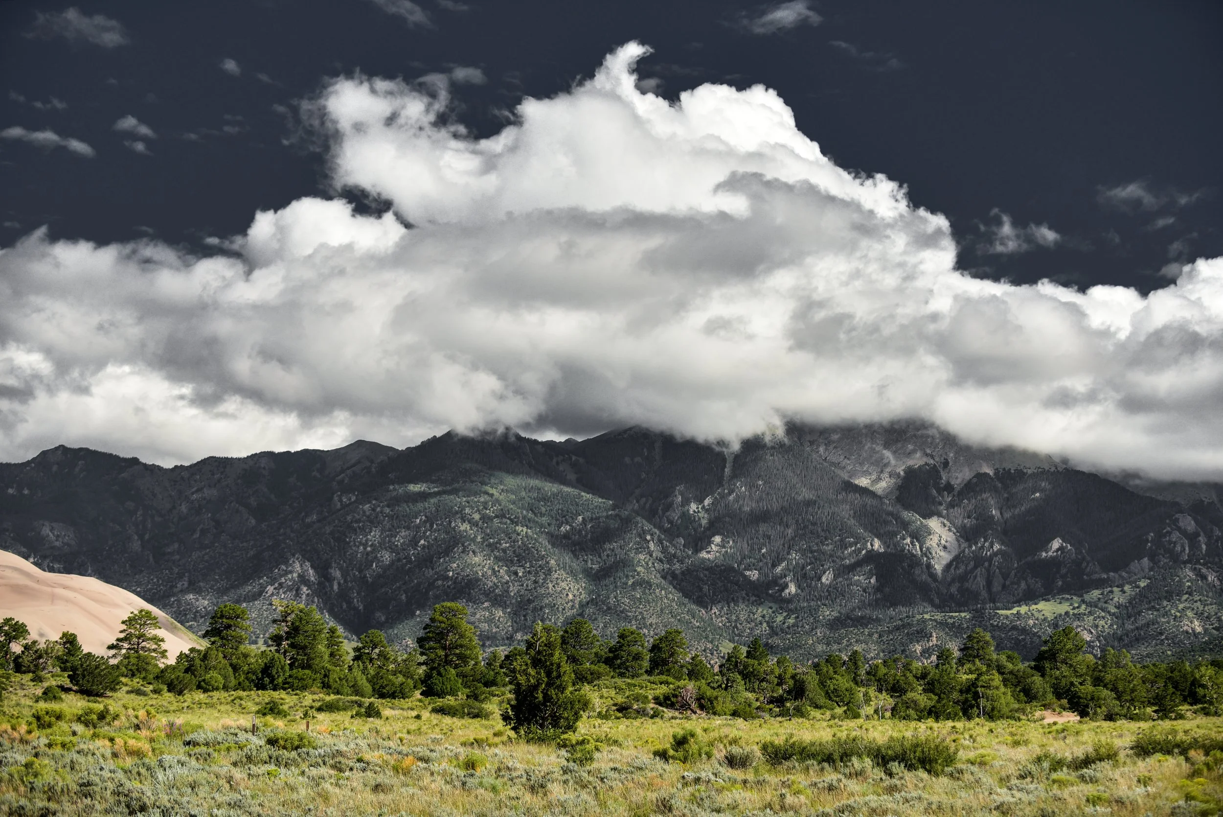 DSC_5114-2.jpg