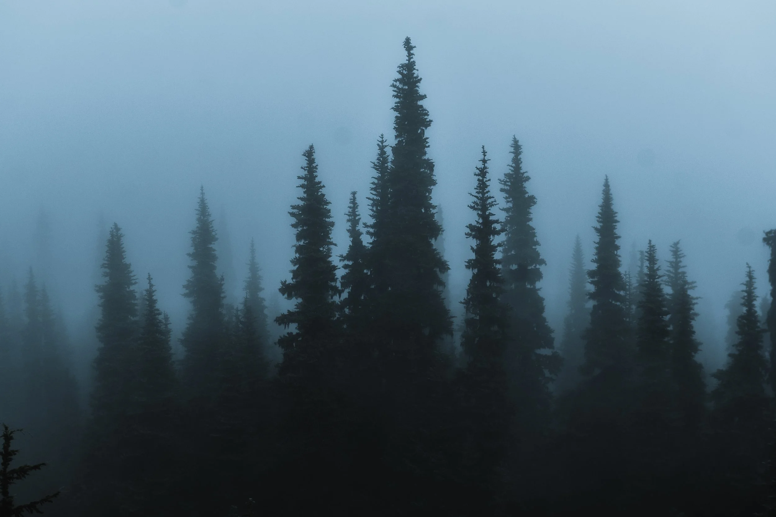 DSC_6639.jpg