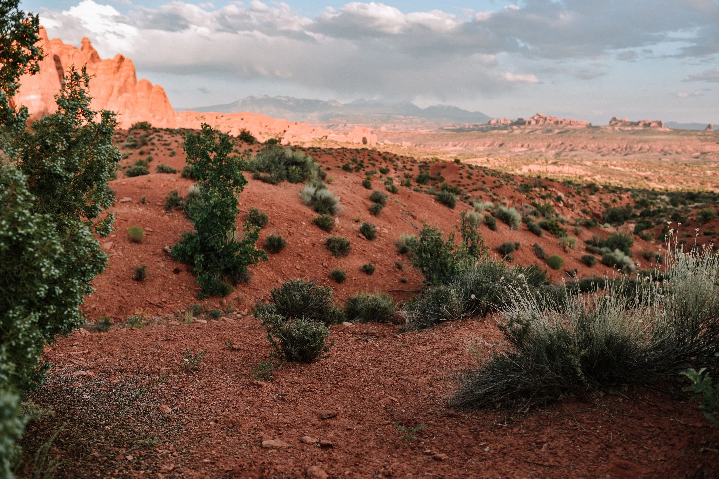 DSC_1925-2.jpg