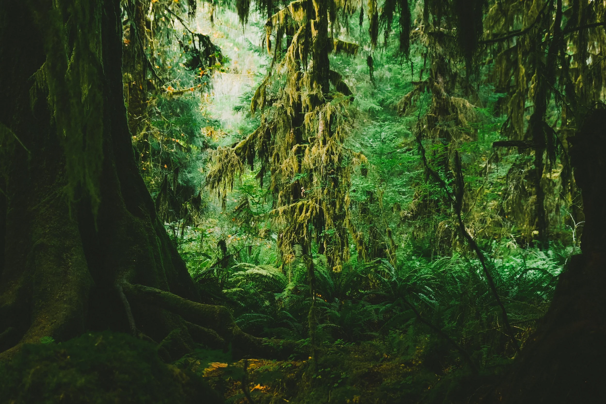 _DSC7218.jpg