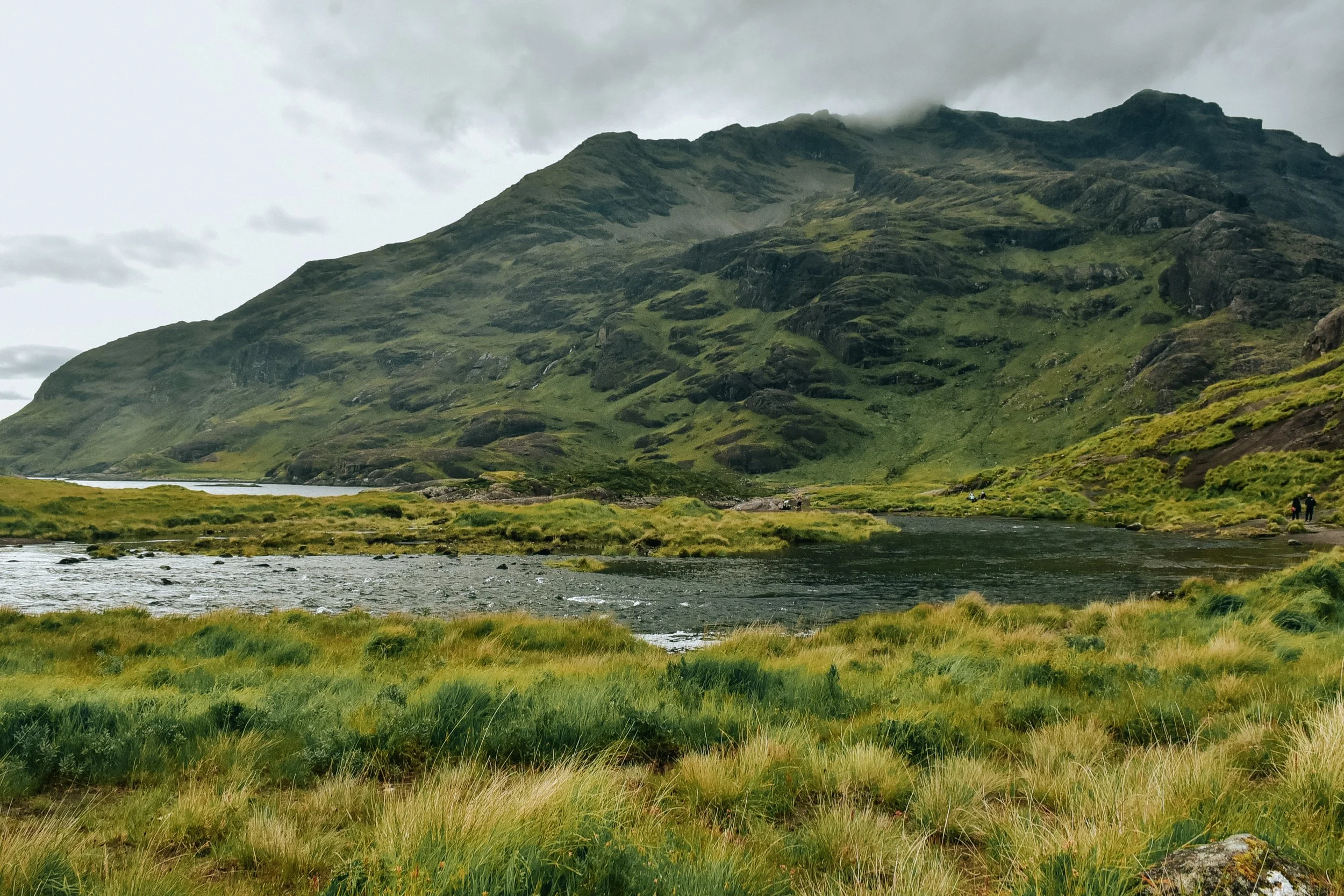 DSC_2874.jpg