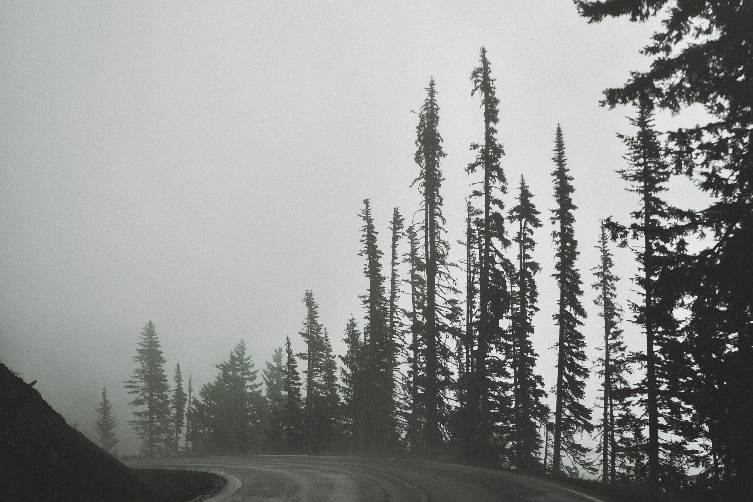 DSC_6900.jpg