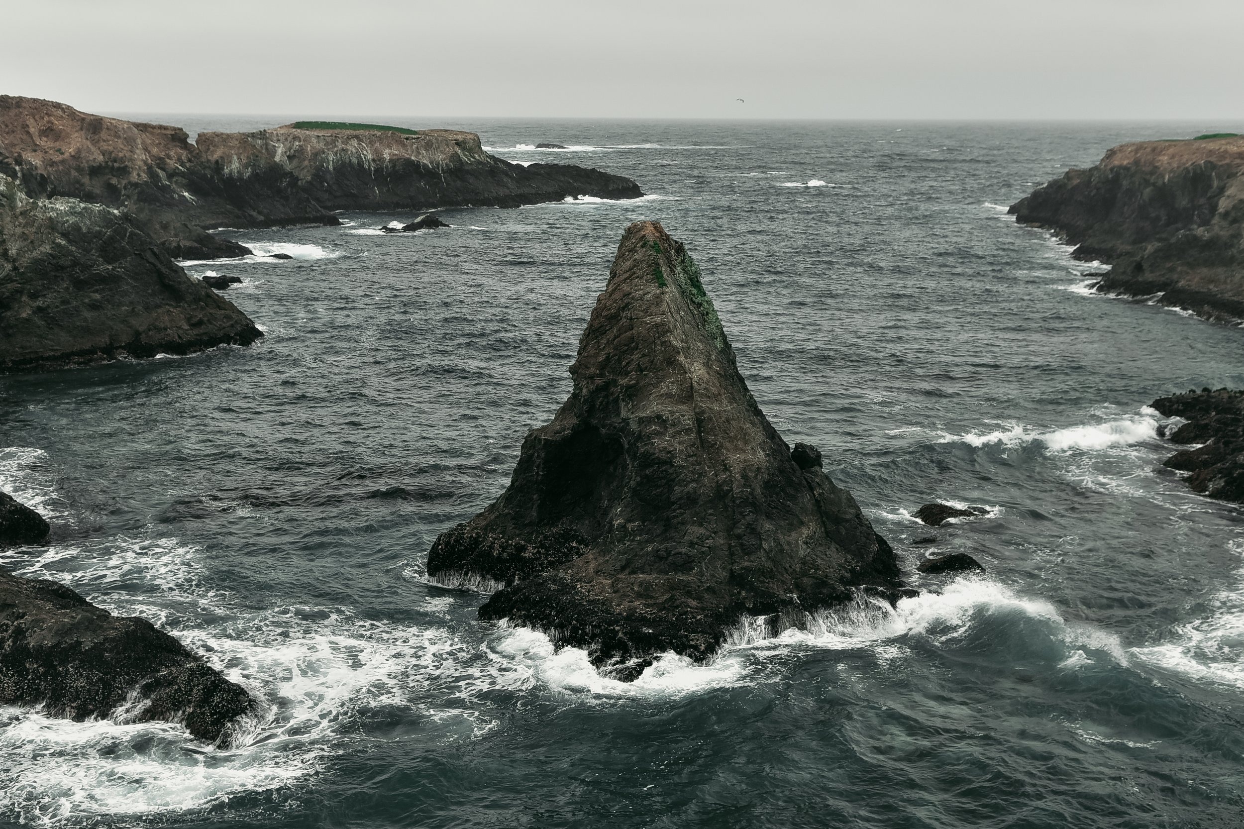 _DSC5009.jpg