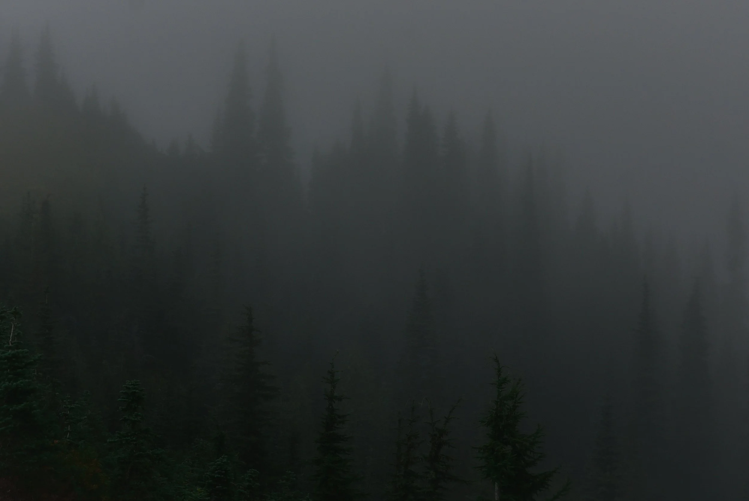 DSC_6663.jpg