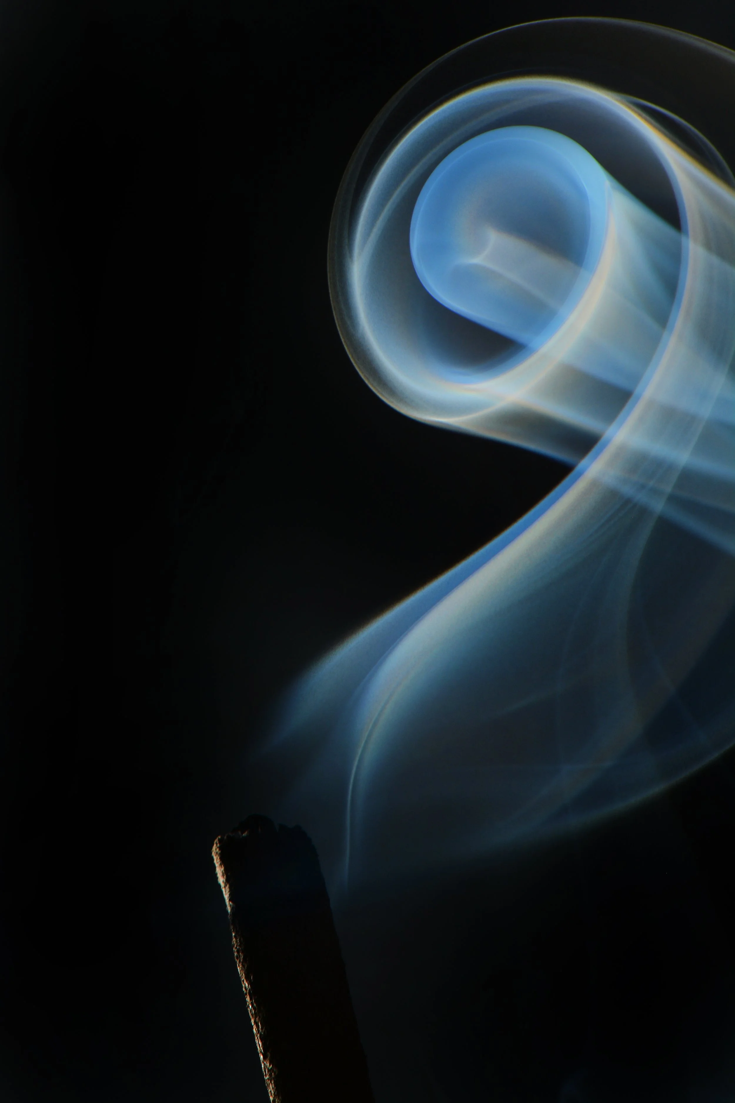 DSC_3365u.jpg