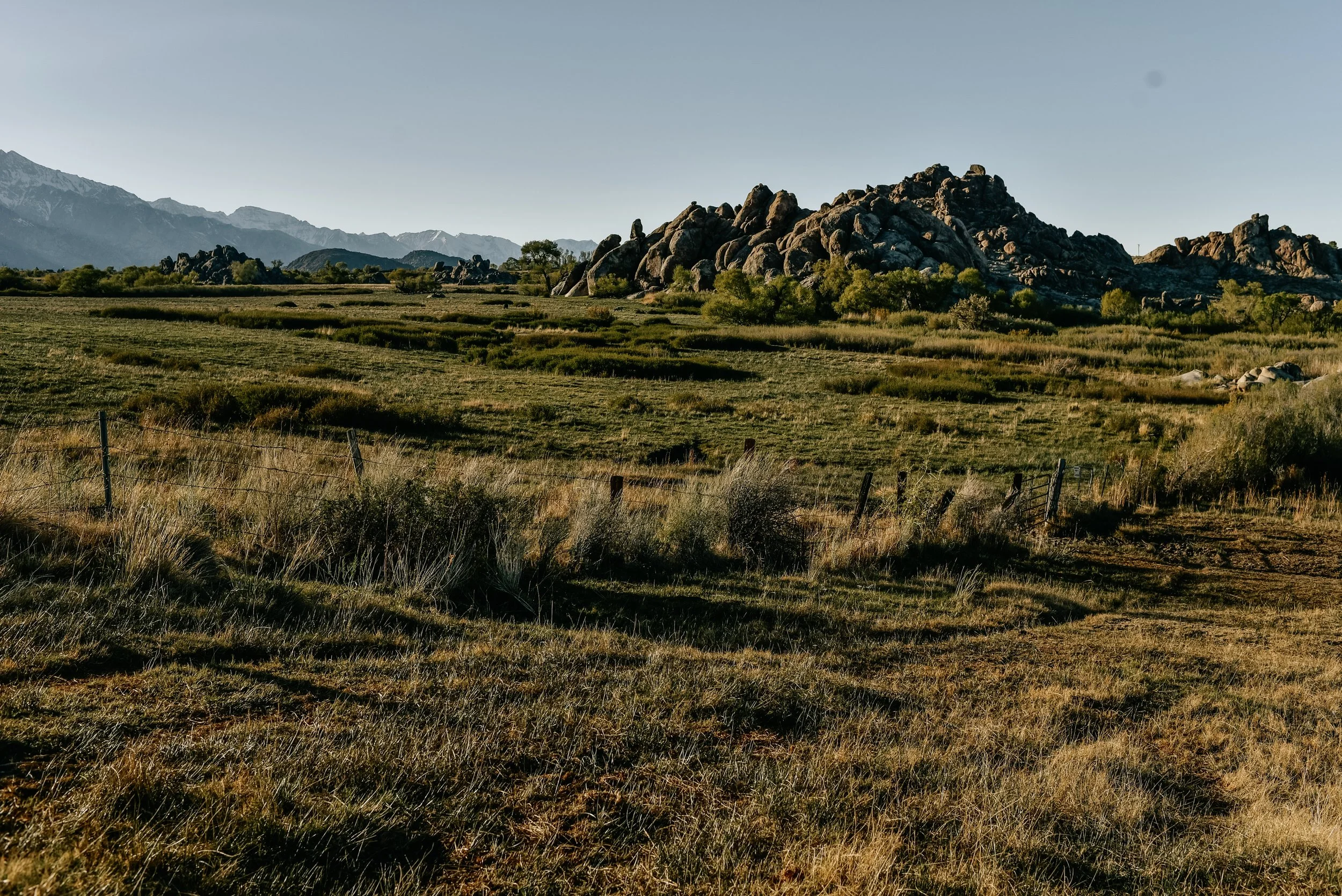 _DSC6695.jpg