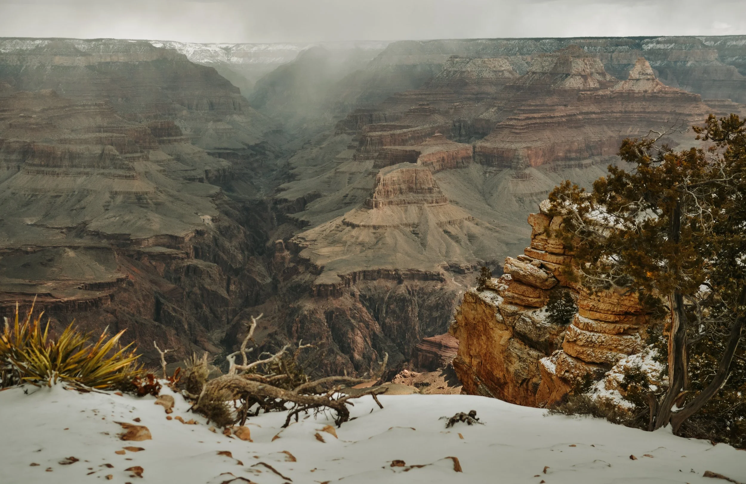 DSC_6969.jpg