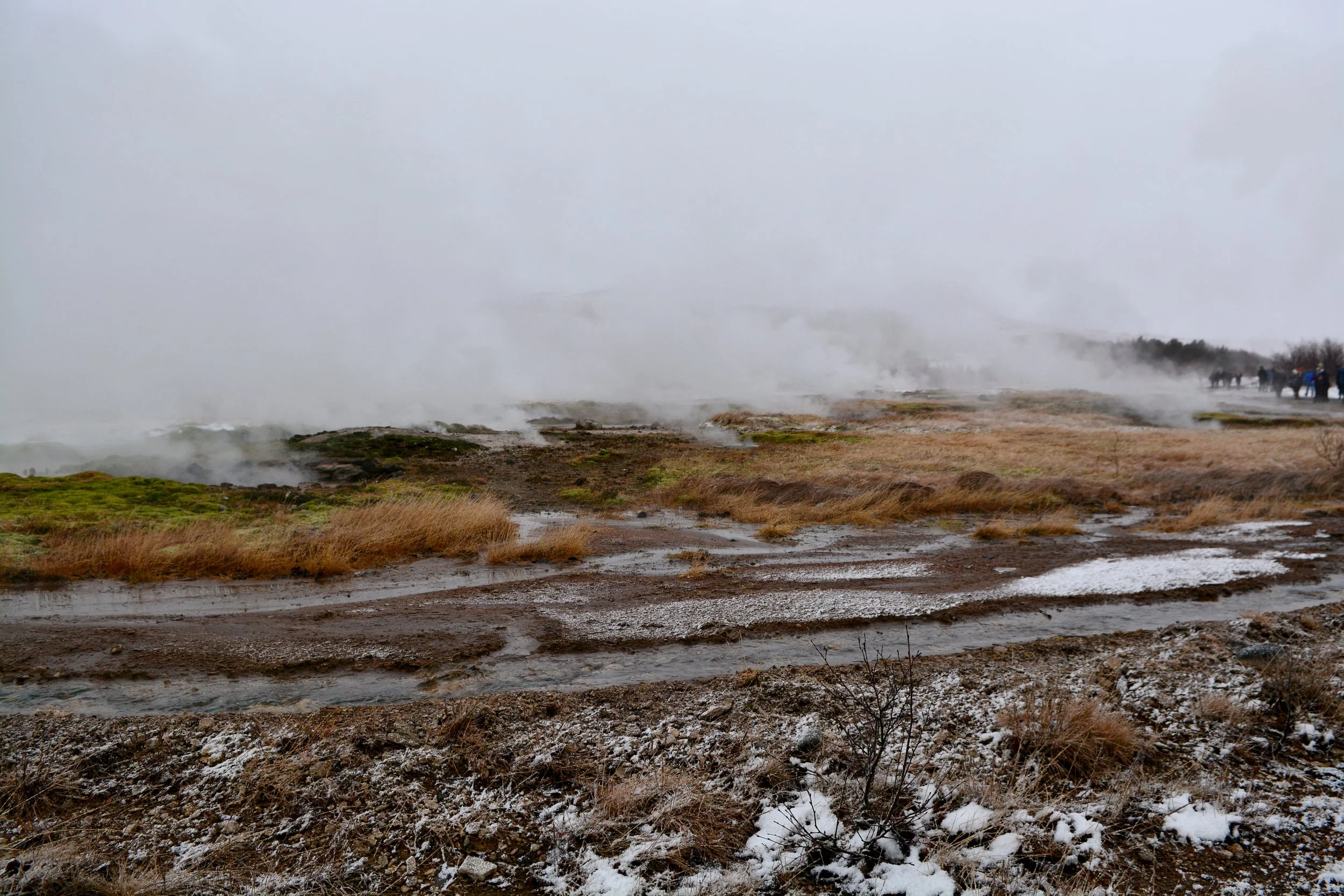DSC_6256.JPG