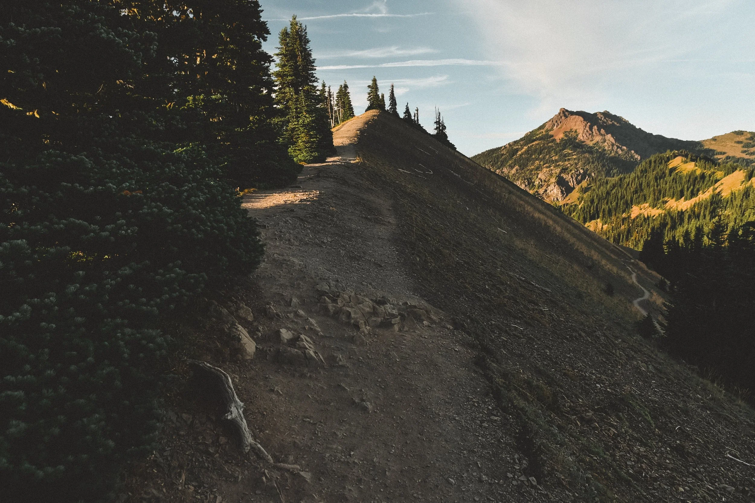 _DSC8040.jpg