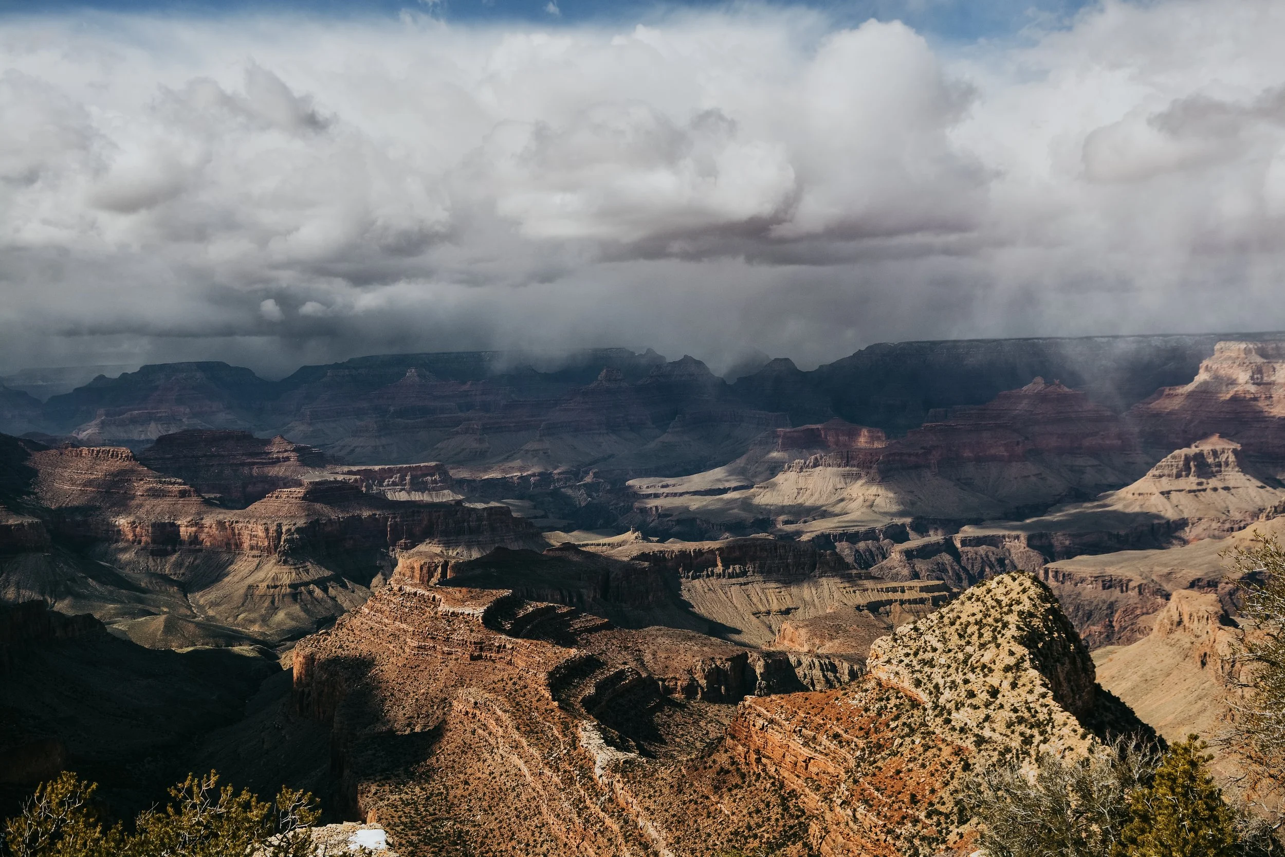 DSC_7371.jpg