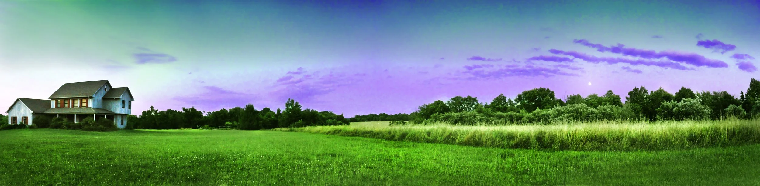 Untitled_Panorama186.jpg