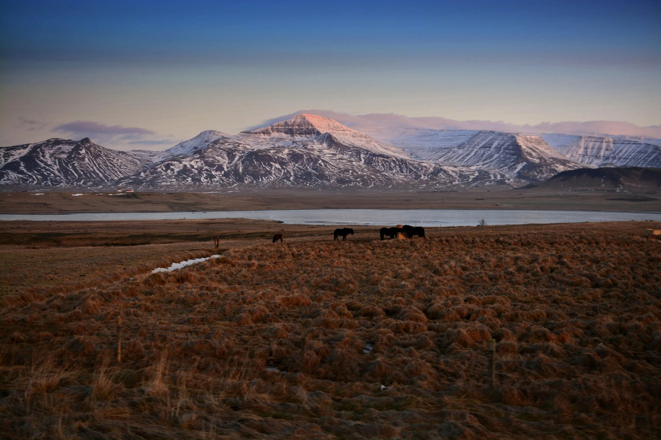 DSC_4823sml.jpg