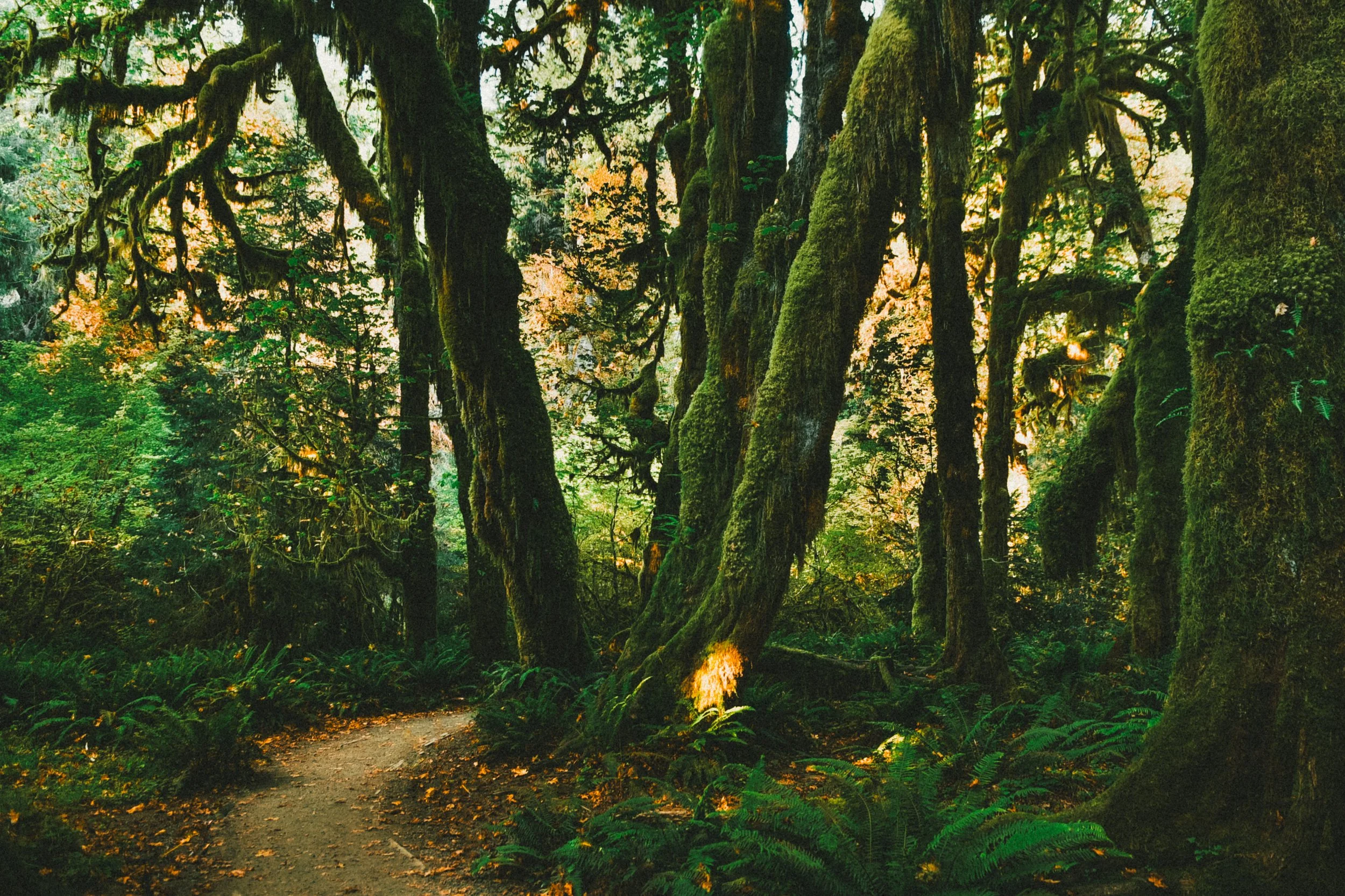 _DSC7146.jpg