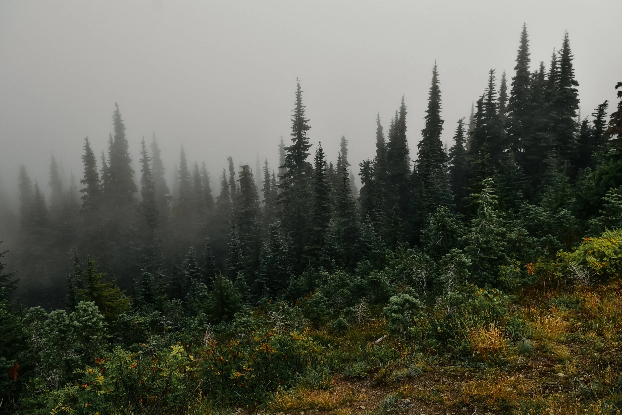 DSC_6632.jpg