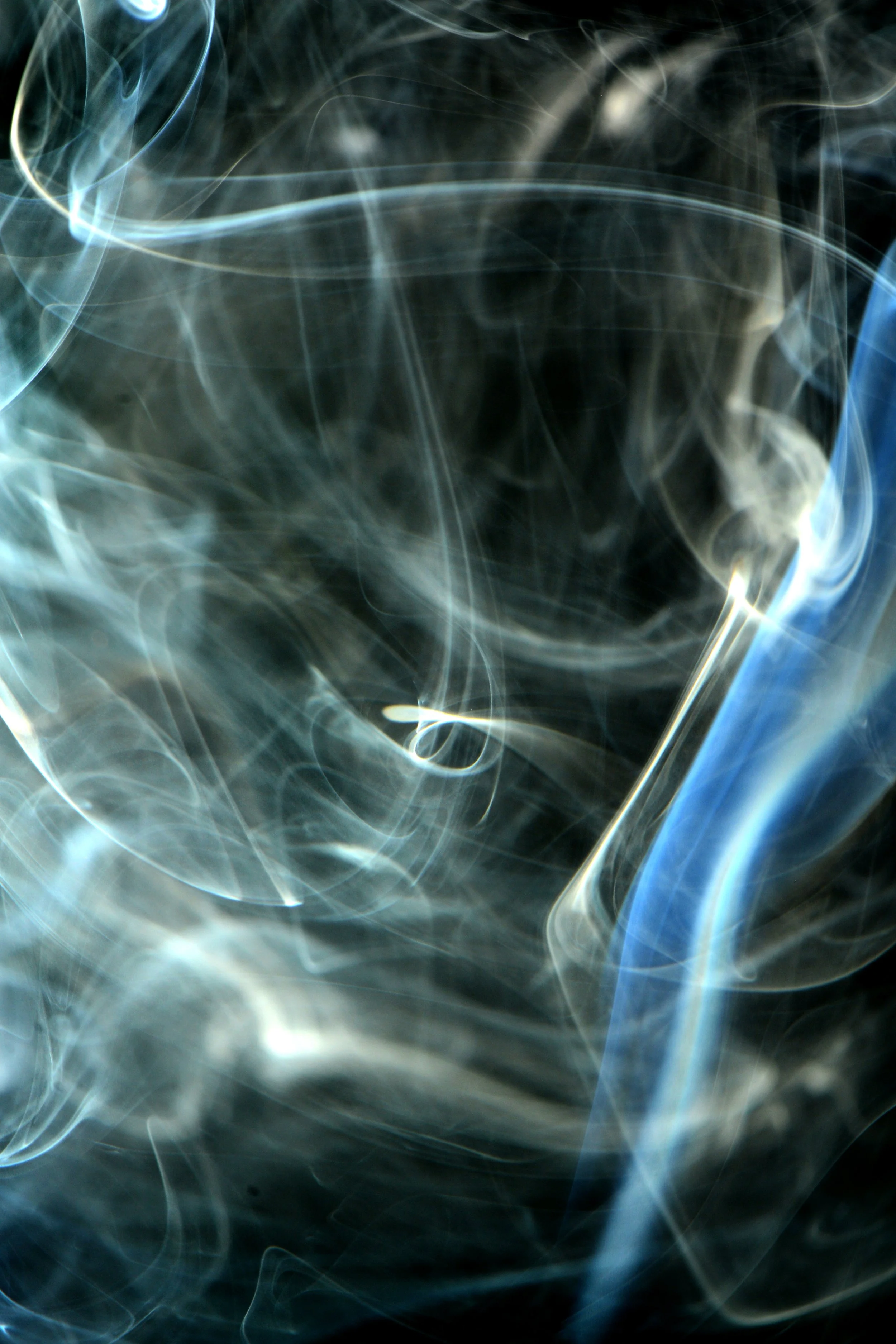 DSC_3514.JPG