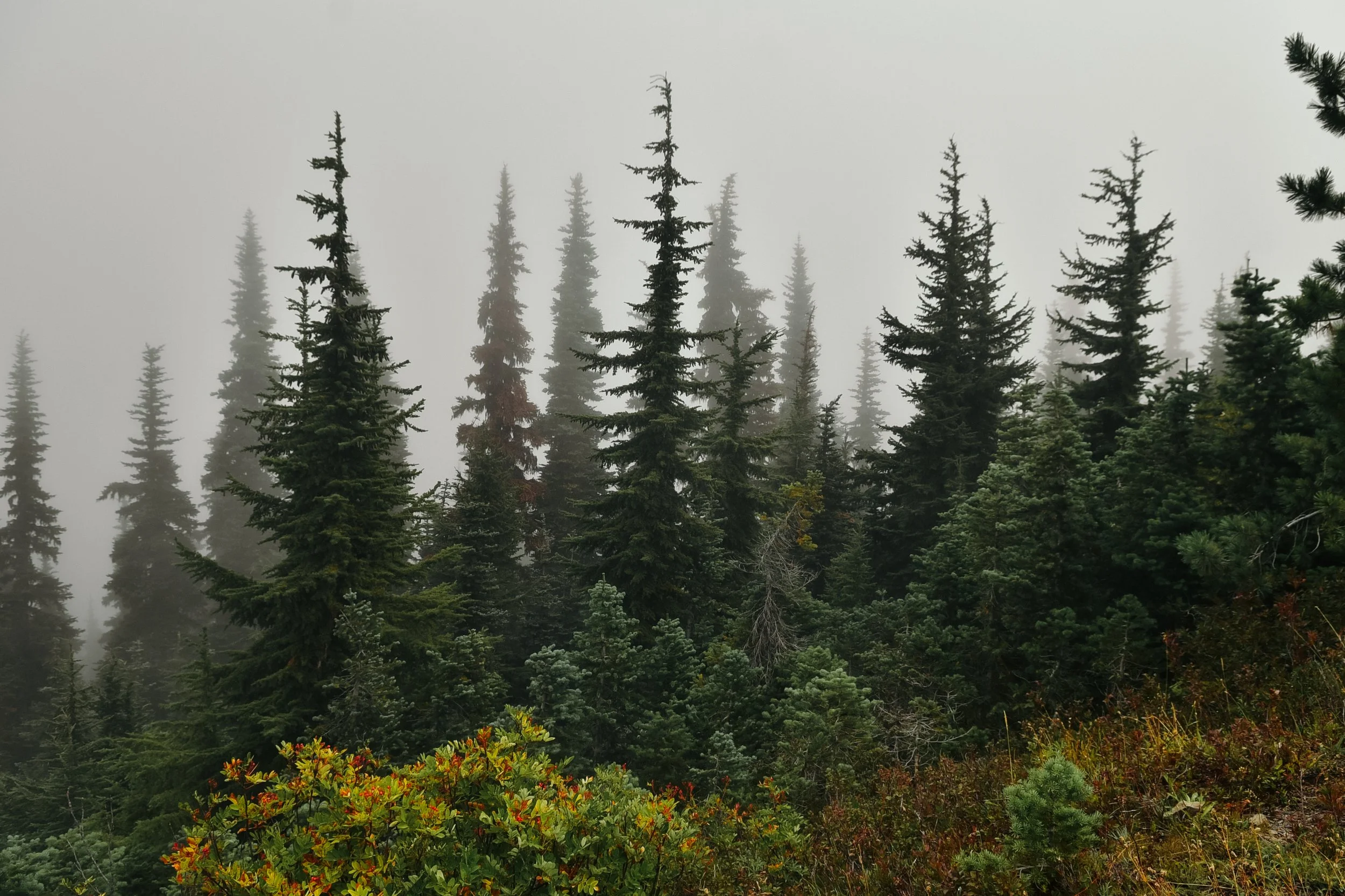 DSC_6551.jpg