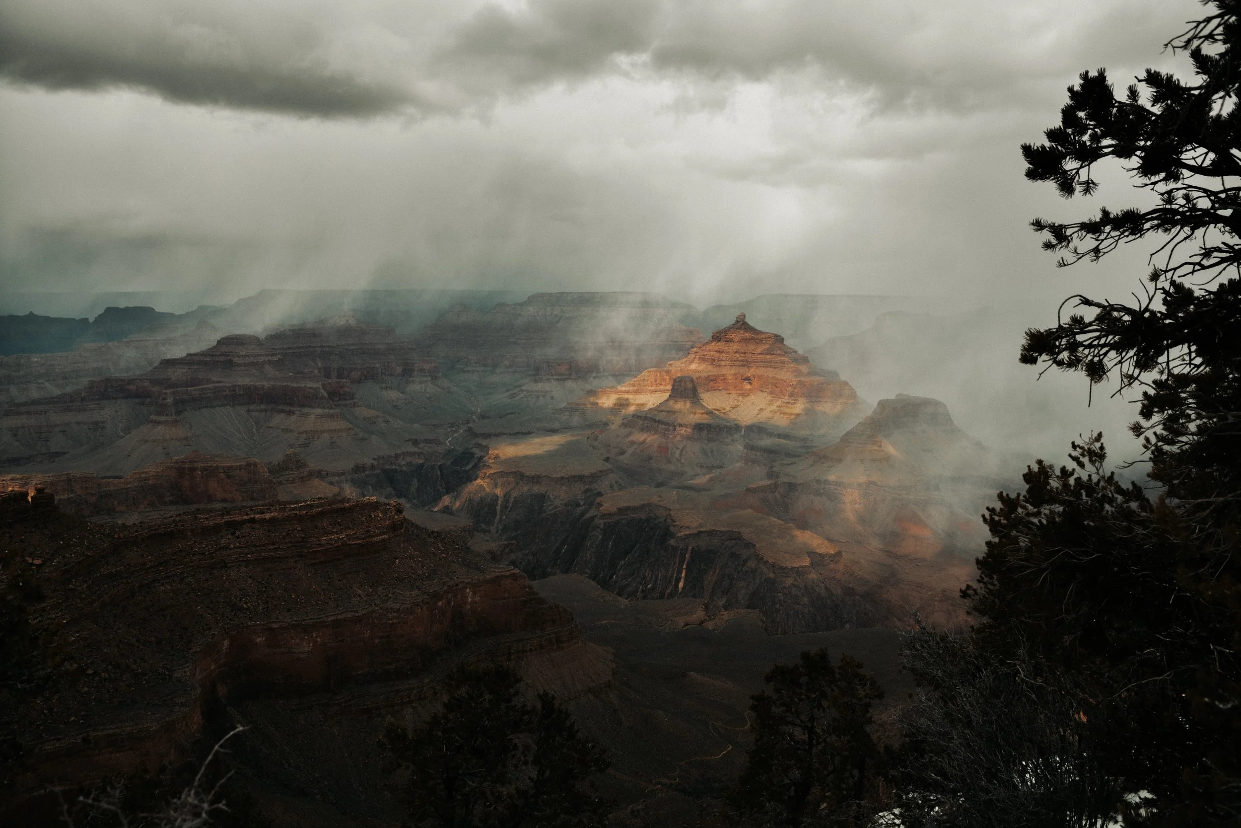 DSC_7212.jpg