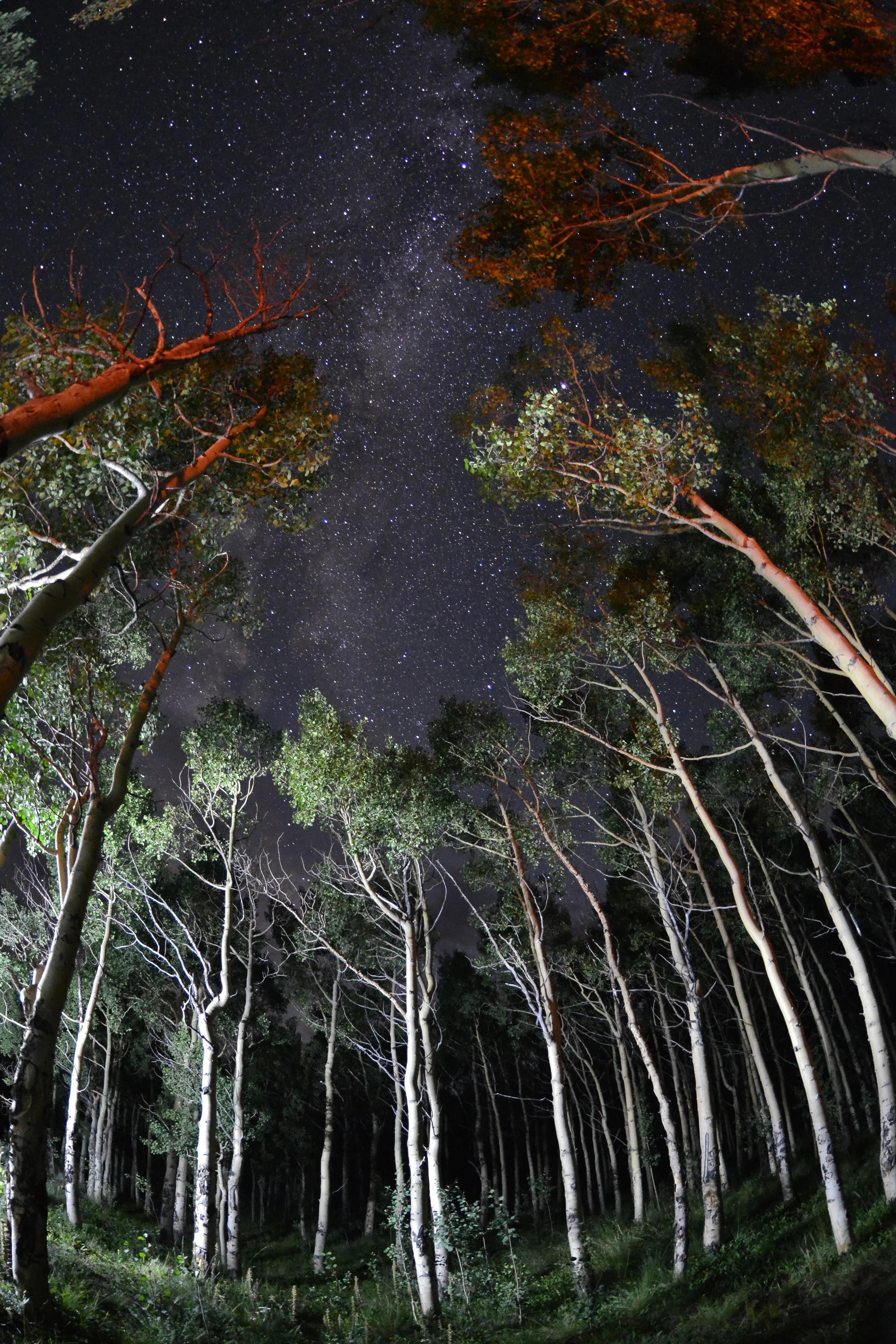 DSC_0086.JPG