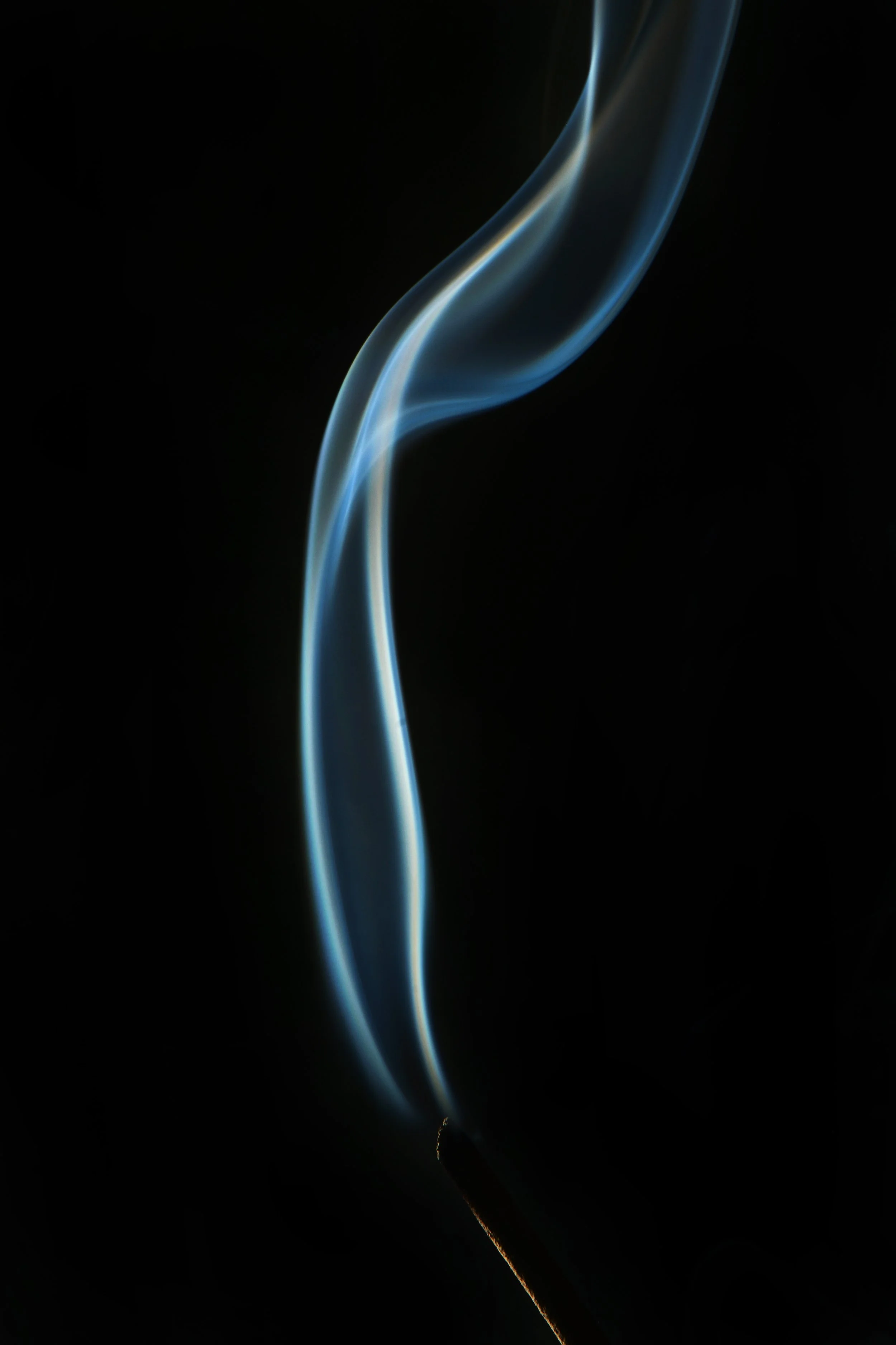 DSC_3452j.jpg