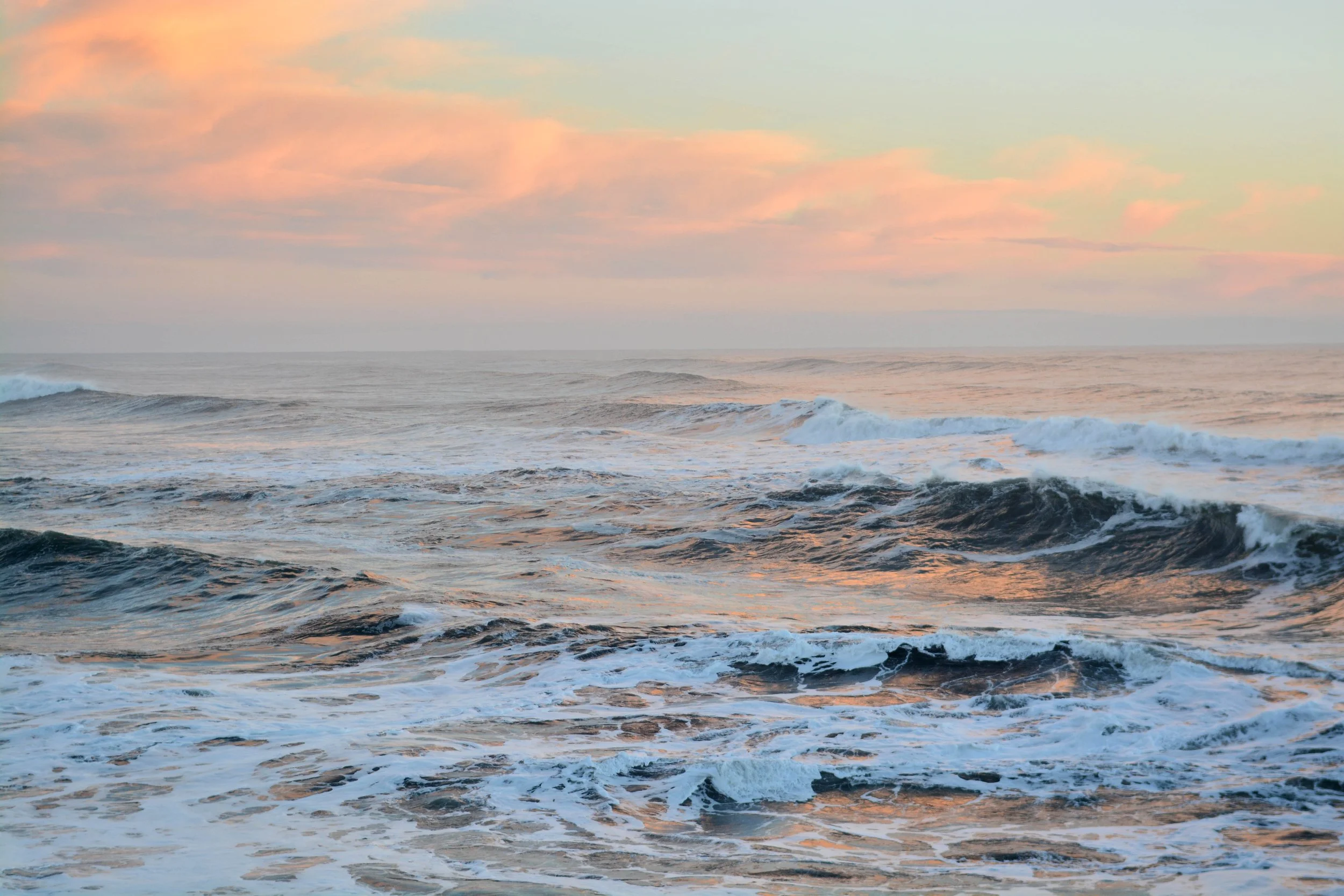 DSC_8460sml.jpg