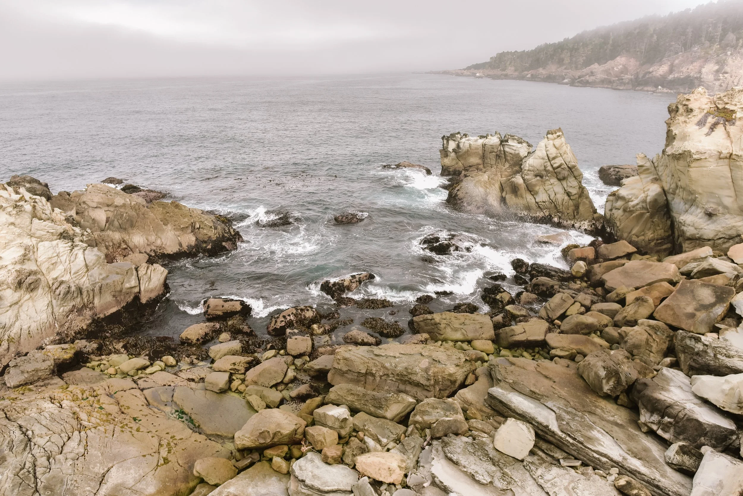DSC_4077.jpg