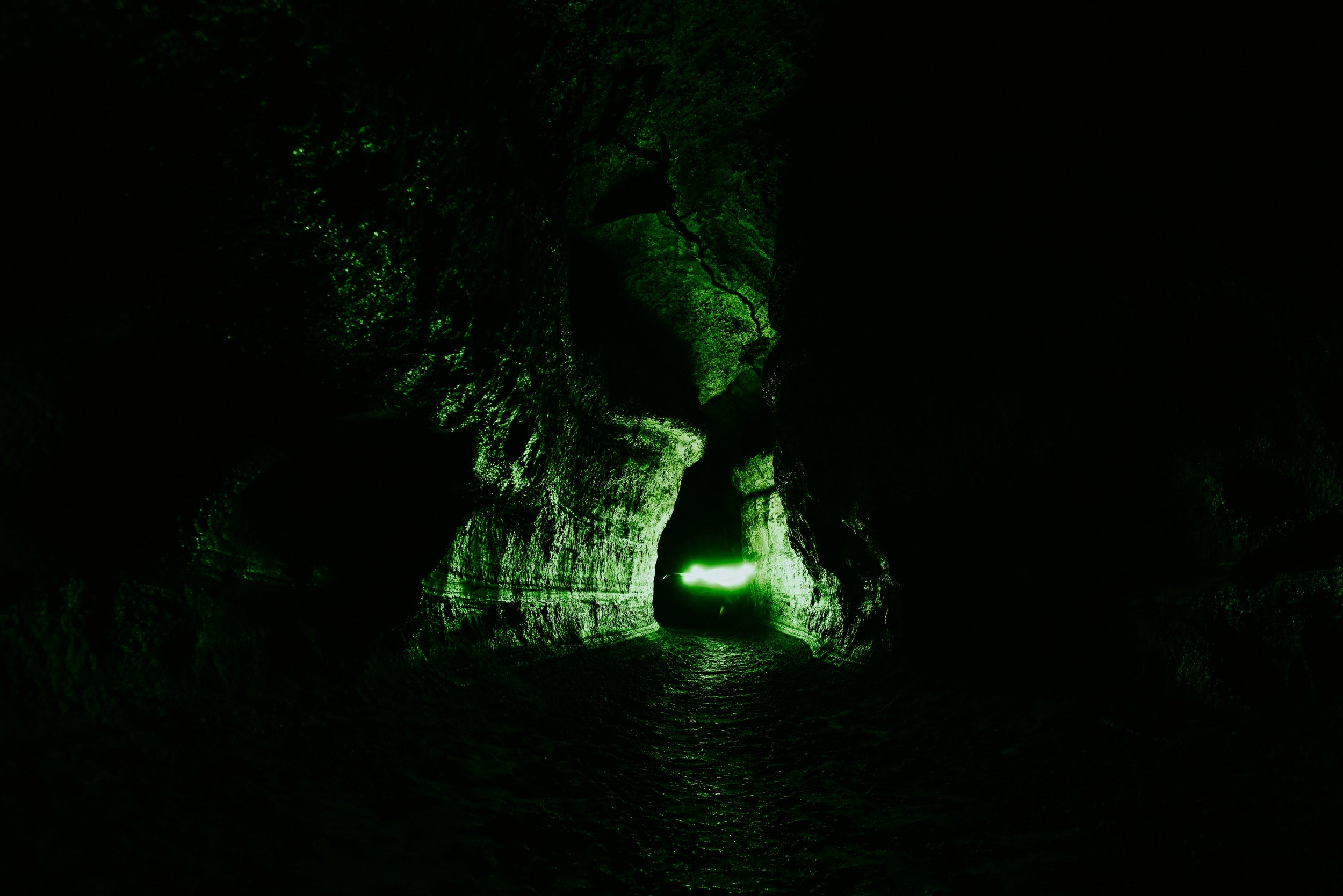 DSC_1945sml.jpg