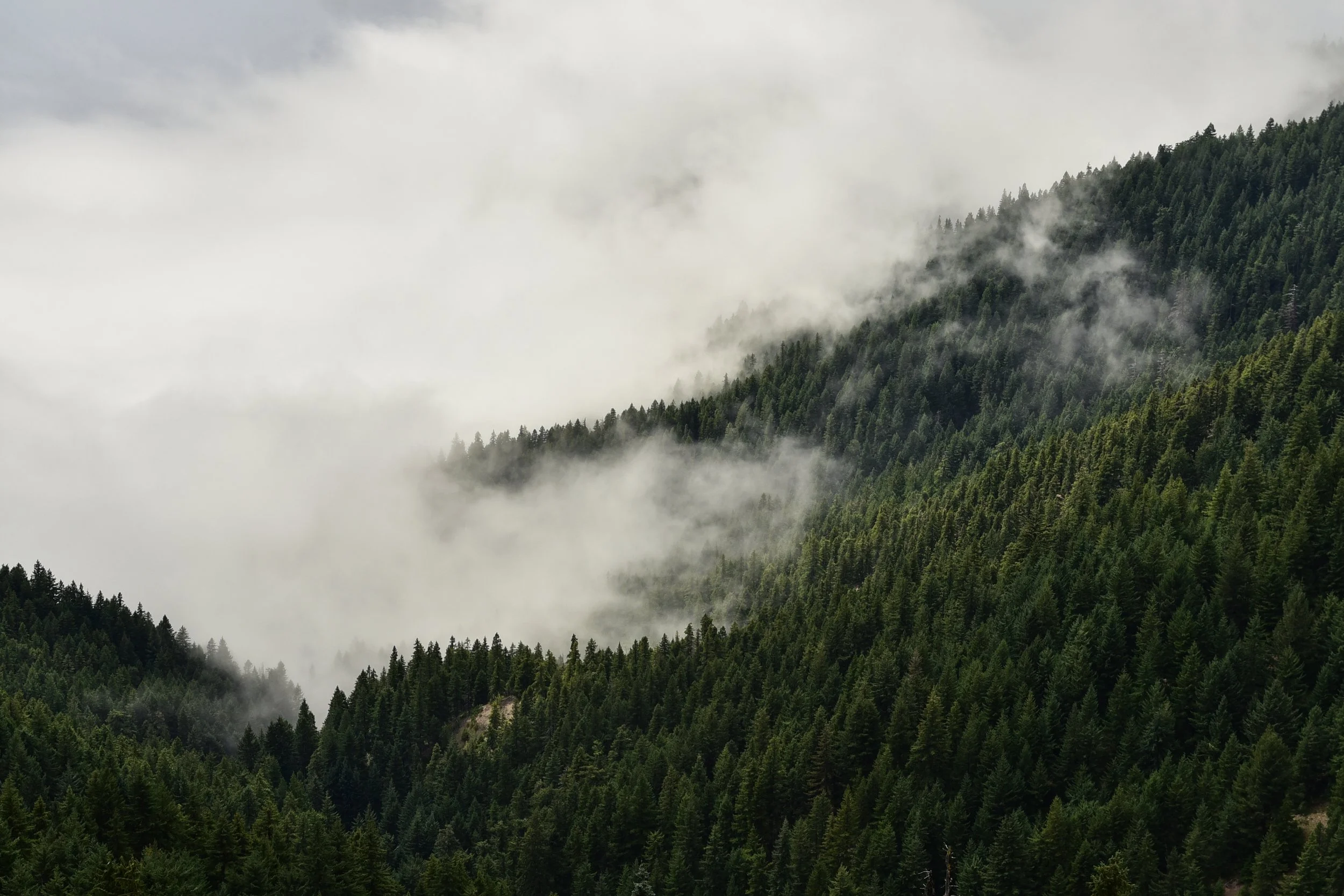 DSC_6496.jpg