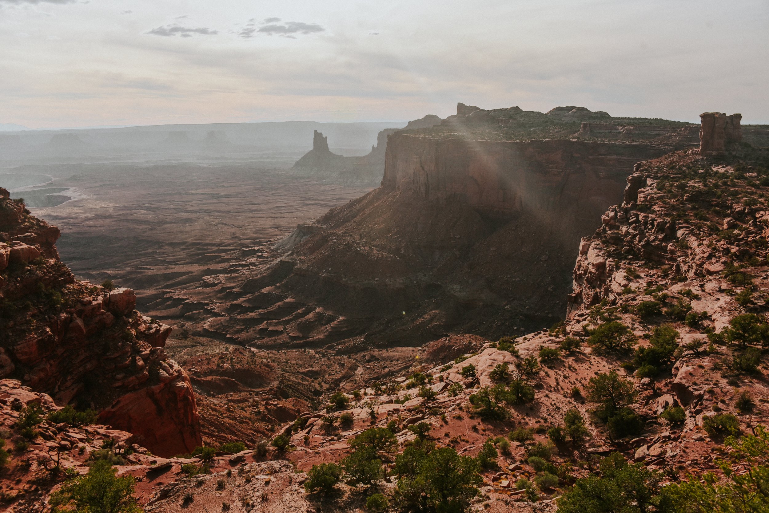 DSC_3447.jpg