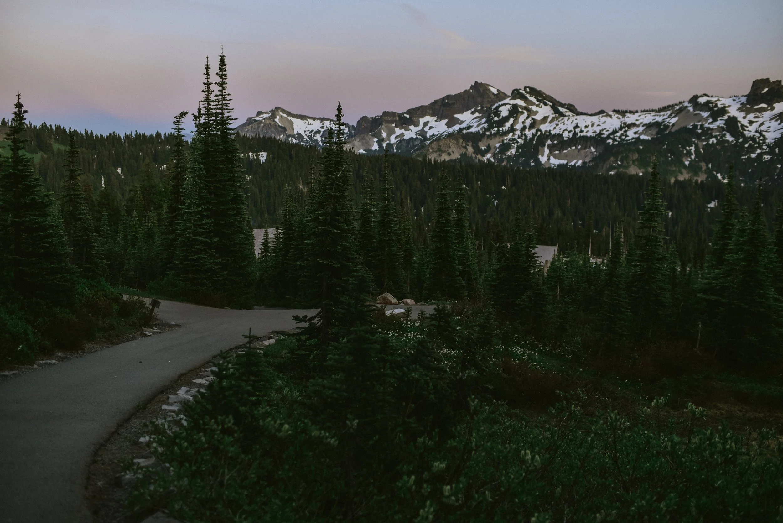 DSC_3754.jpg