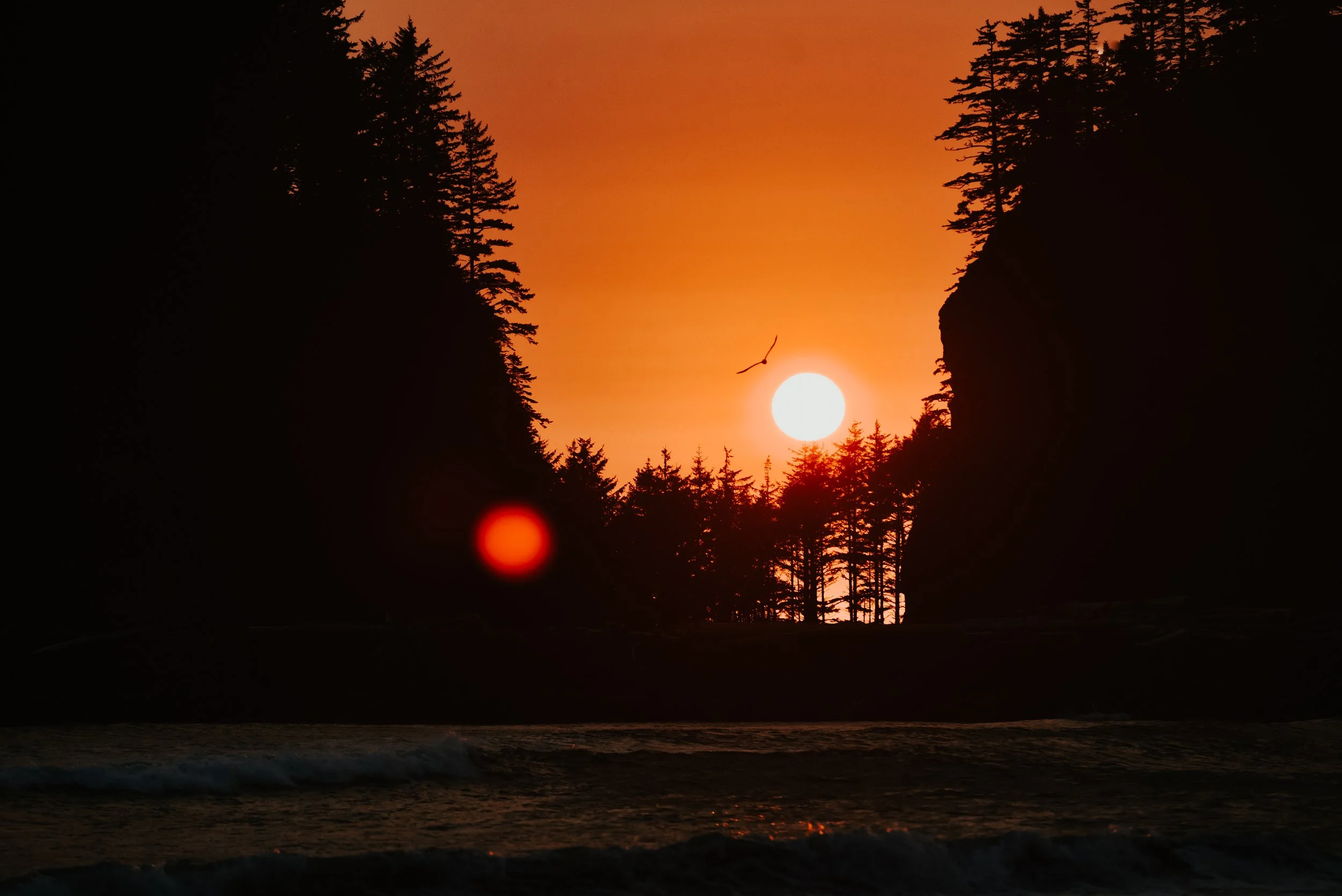 DSC_4262.jpg