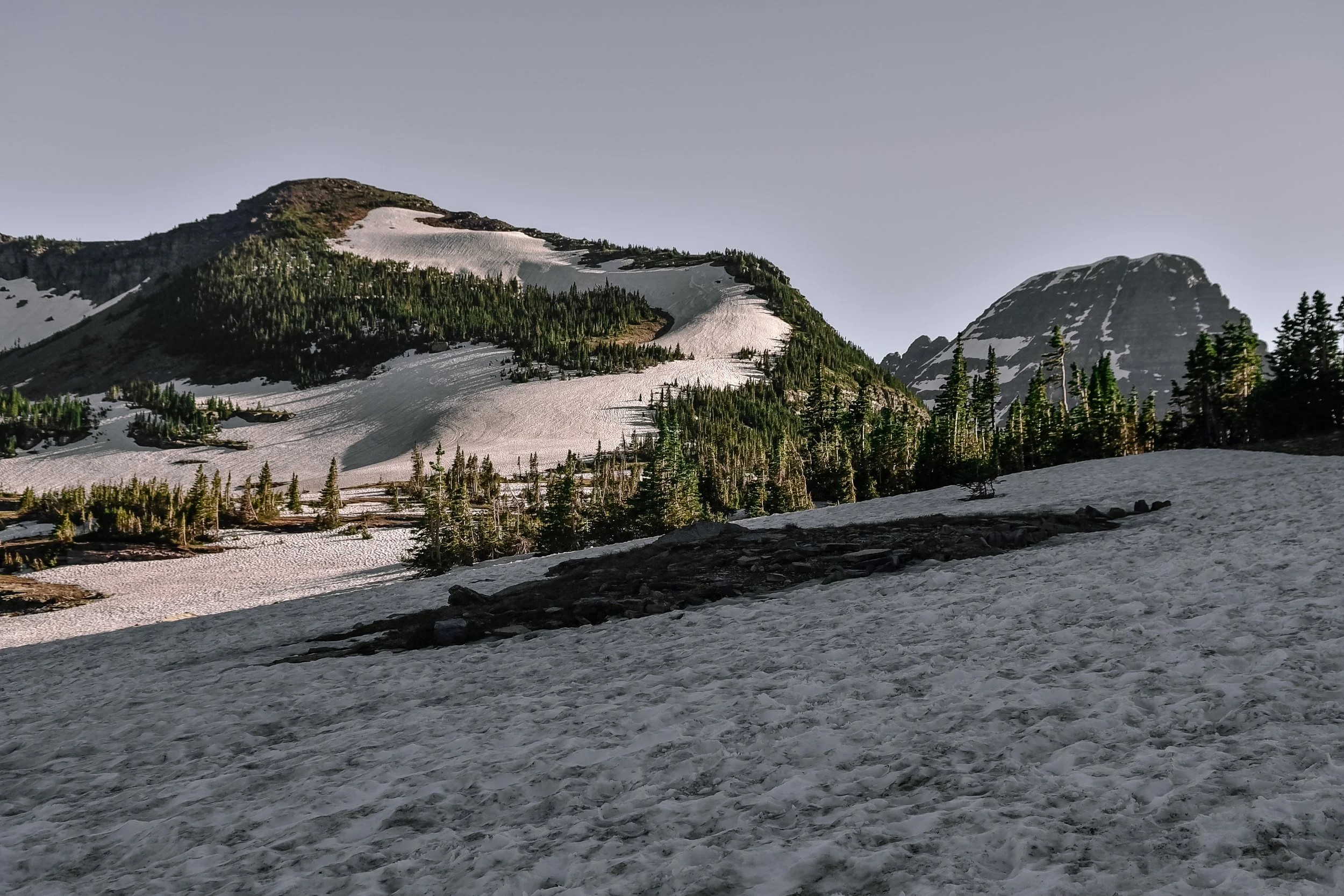 DSC_7893.jpg