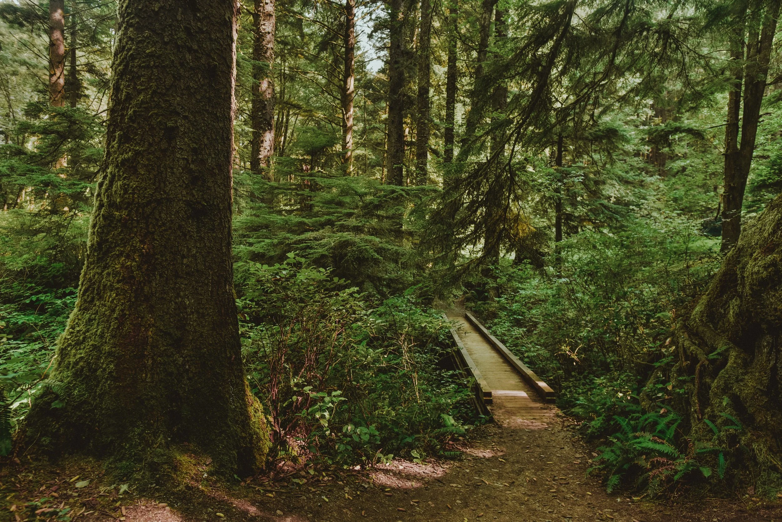 _DSC6554.jpg